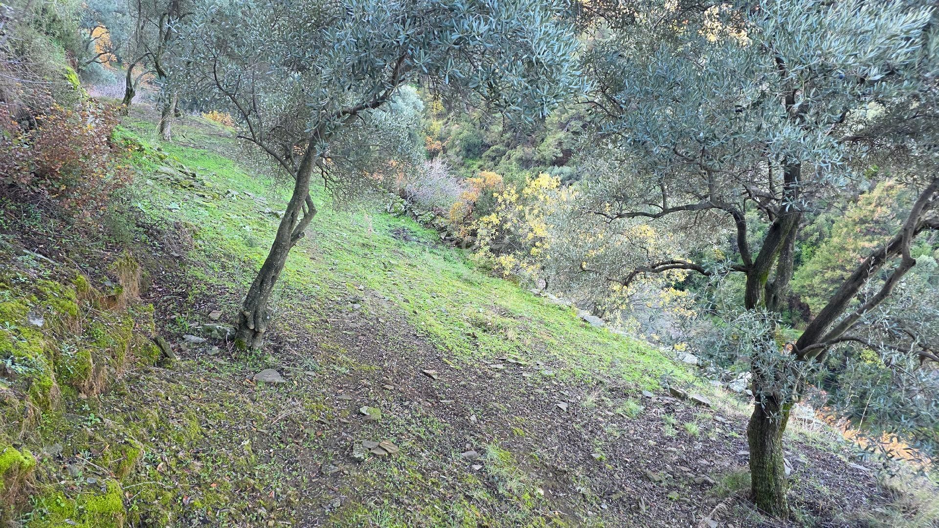 Ali Akdoğan Emlak Ofisinden - Görsel 7