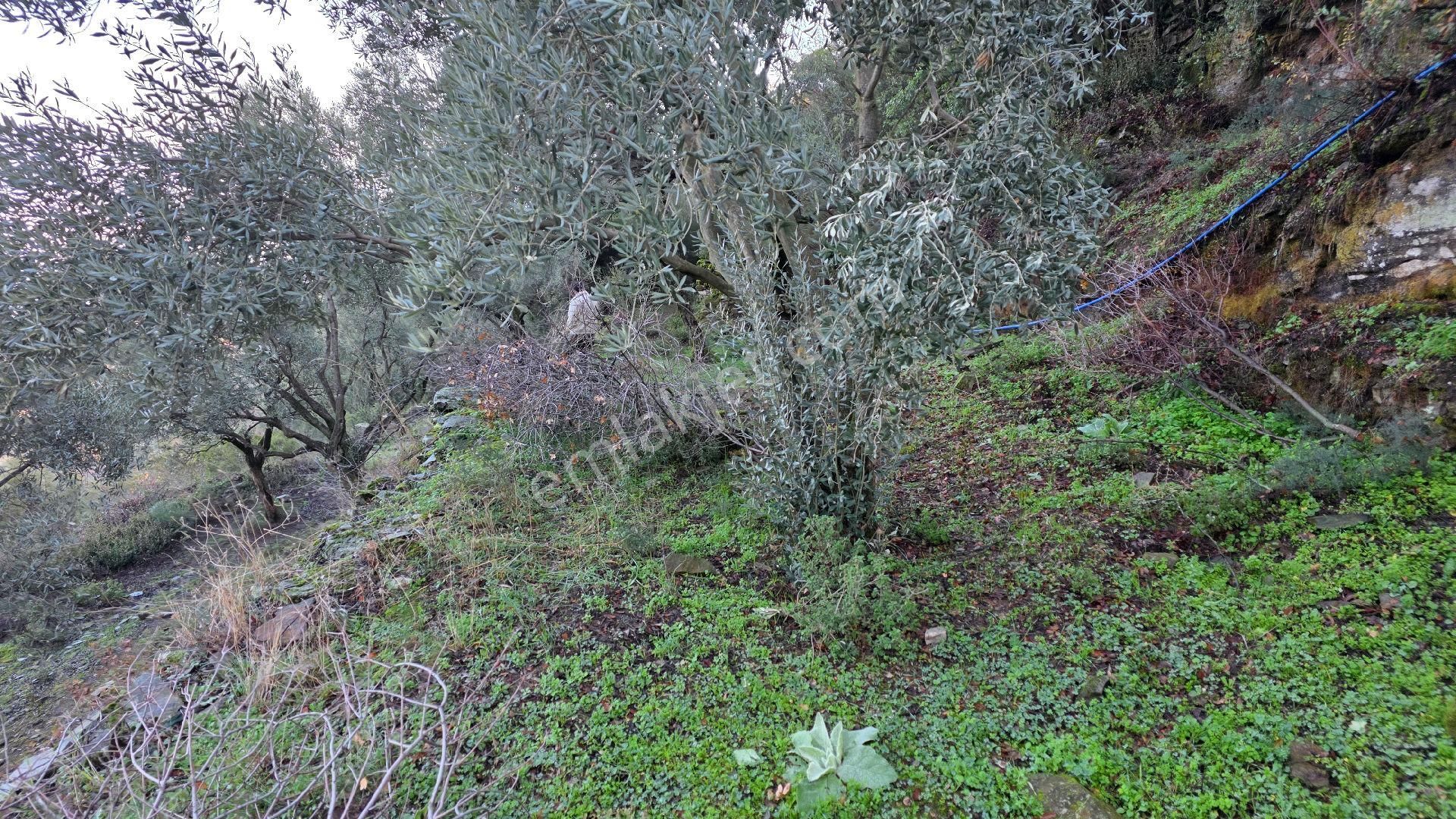 Ali Akdoğan Emlak Ofisinden - Görsel 2