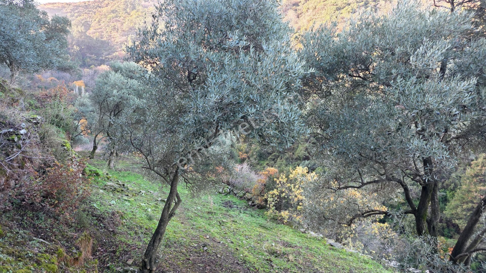 Ali Akdoğan Emlak Ofisinden - Görsel 9