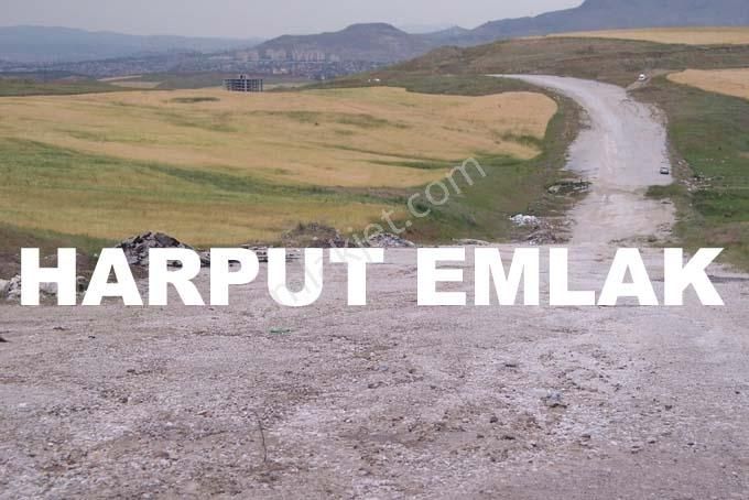 Kusunlar Mah. 2.000m2 Müstakil Tek Tapulu İmarlı Arsa - Görsel 3