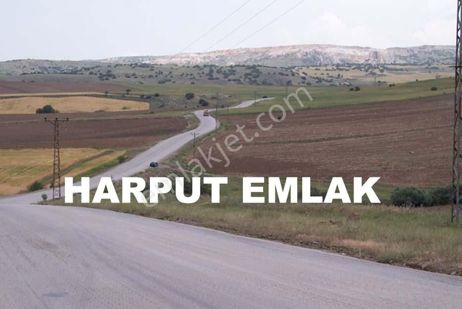 Kusunlar Mah. 2.000m2 Müstakil Tek Tapulu İmarlı Arsa - Görsel 8