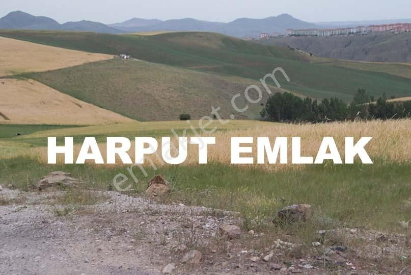 Kusunlar Mah. 2.000m2 Müstakil Tek Tapulu İmarlı Arsa - Görsel 5