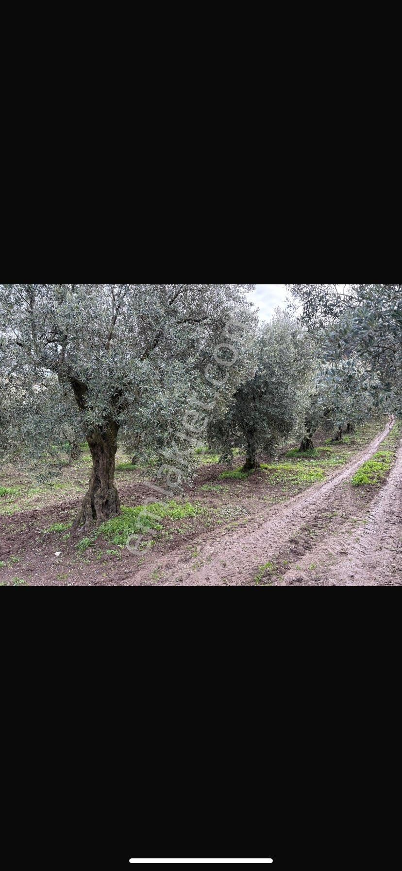 Sahibinden Fırsat Arazi - Görsel 13