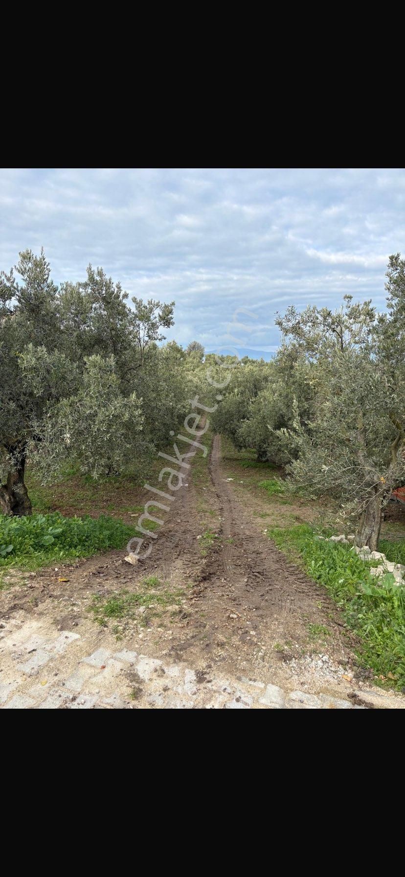 Sahibinden Fırsat Arazi - Görsel 19