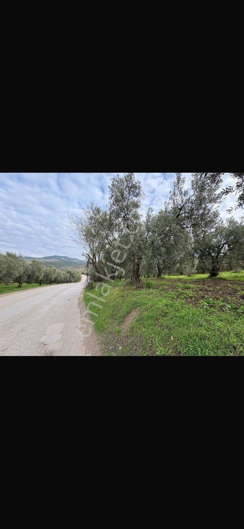 Sahibinden Fırsat Arazi - Görsel 5