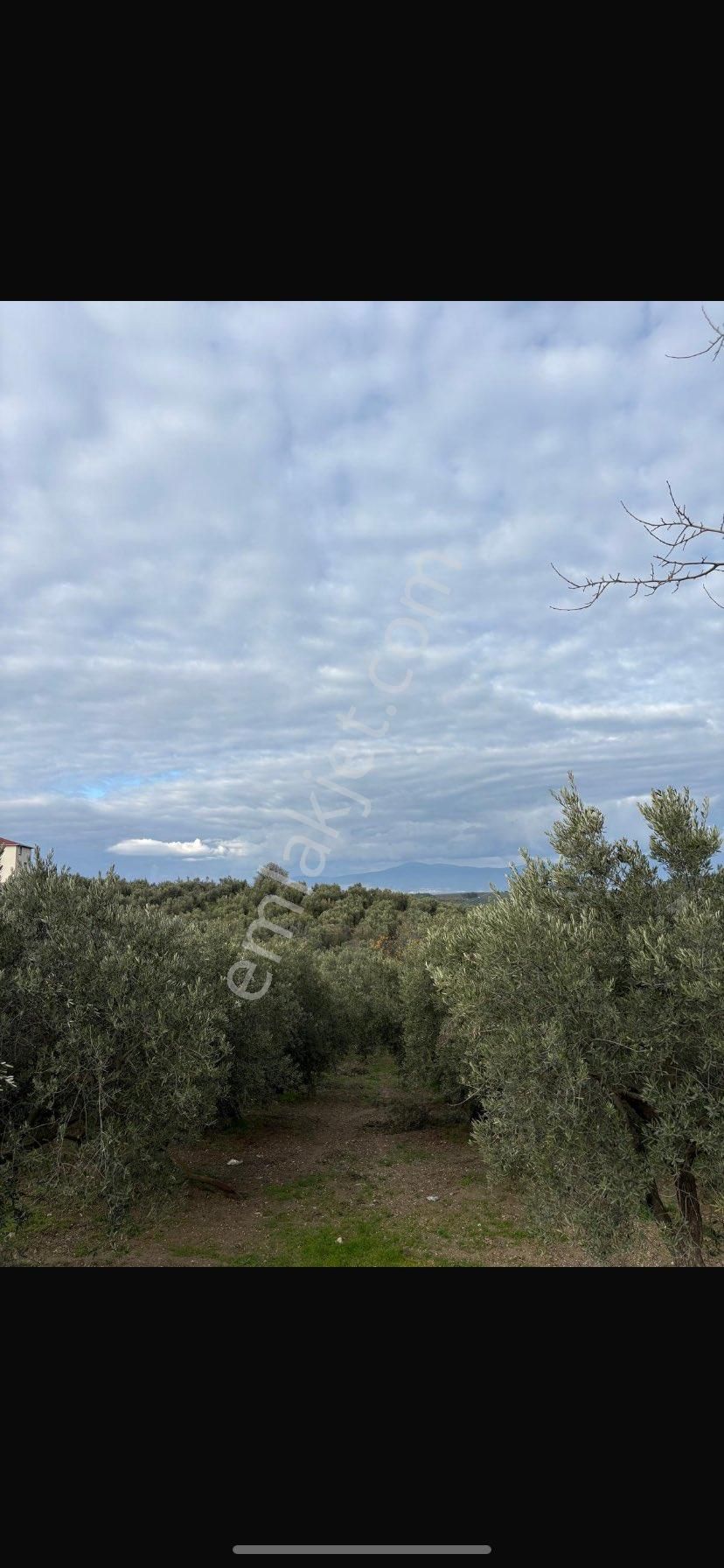 Sahibinden Fırsat Arazi - Görsel 16