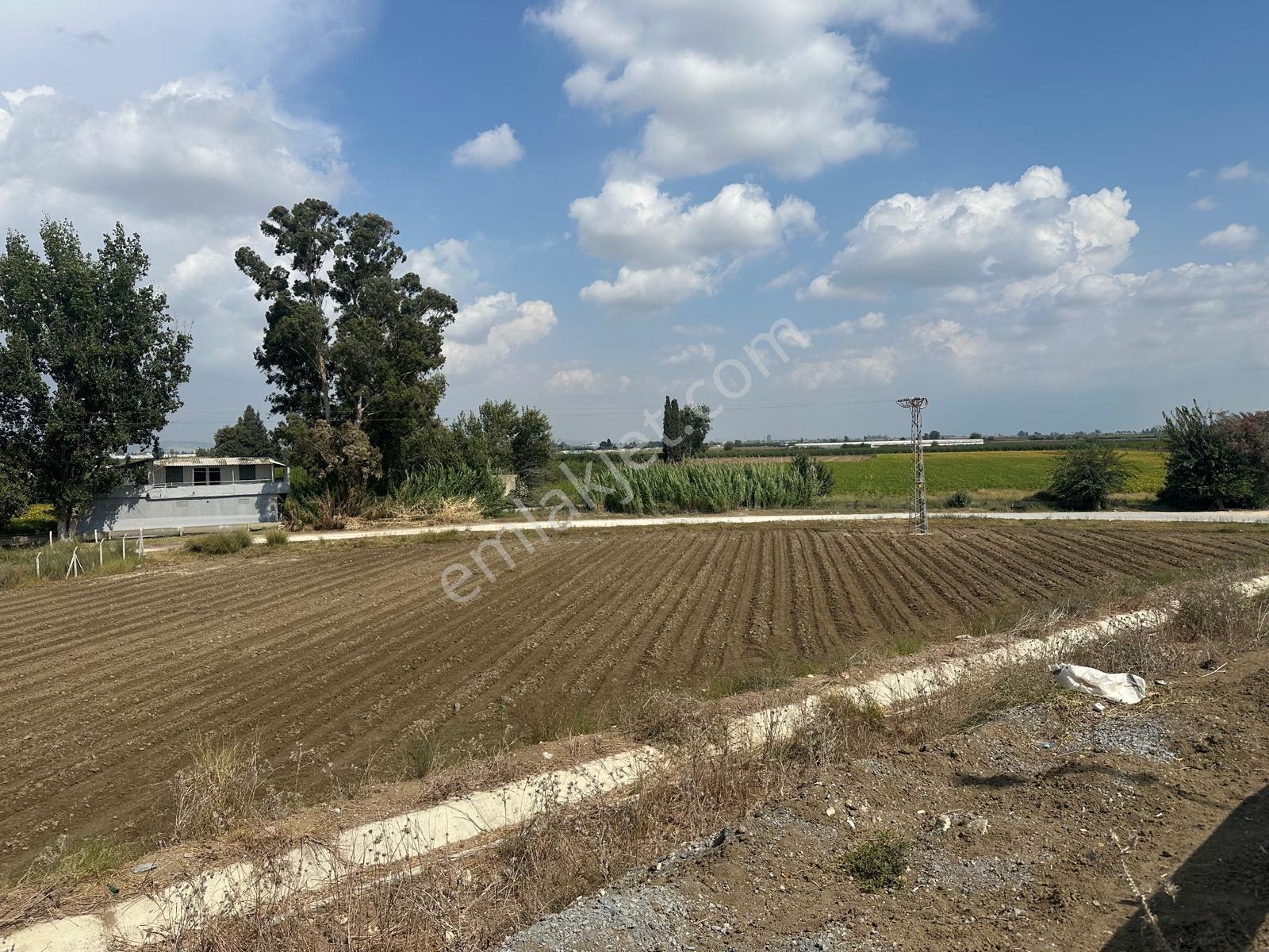 New Form'dan Çukurova Havalimanı Yolunda 3858 M2 Satılık Tarla - Görsel 13