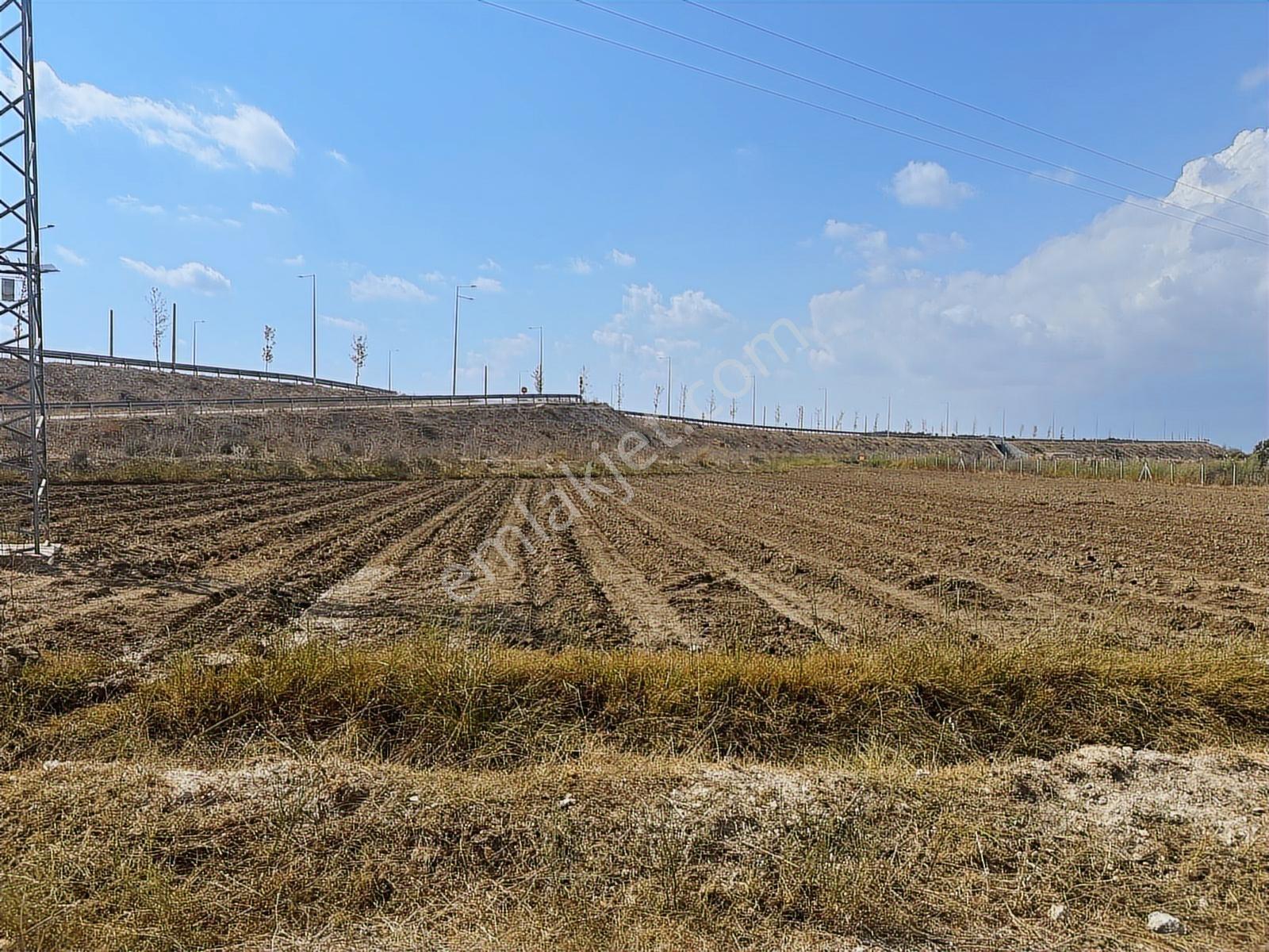 New Form'dan Çukurova Havalimanı Yolunda 3858 M2 Satılık Tarla
