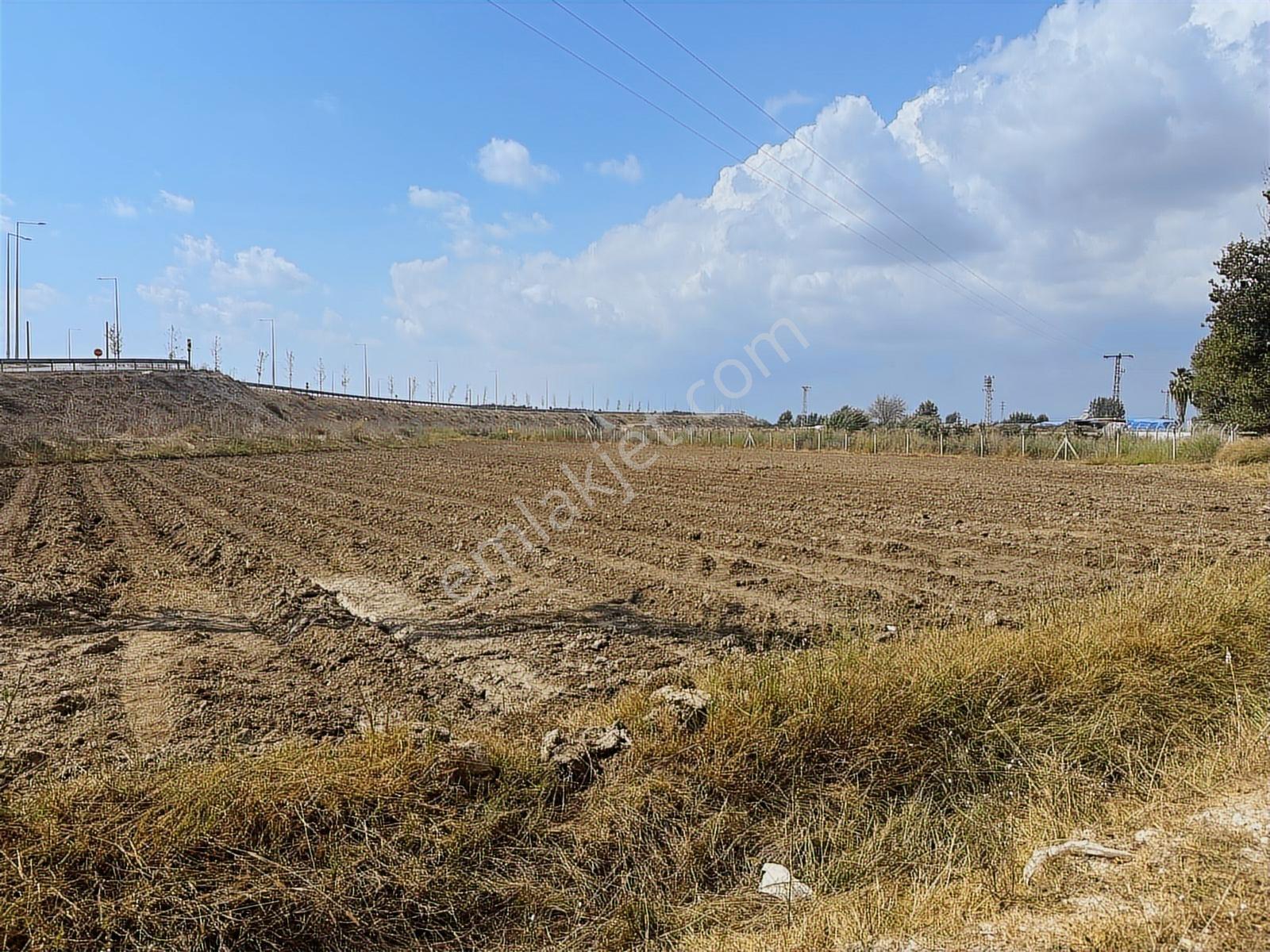 New Form'dan Çukurova Havalimanı Yolunda 3858 M2 Satılık Tarla - Görsel 2