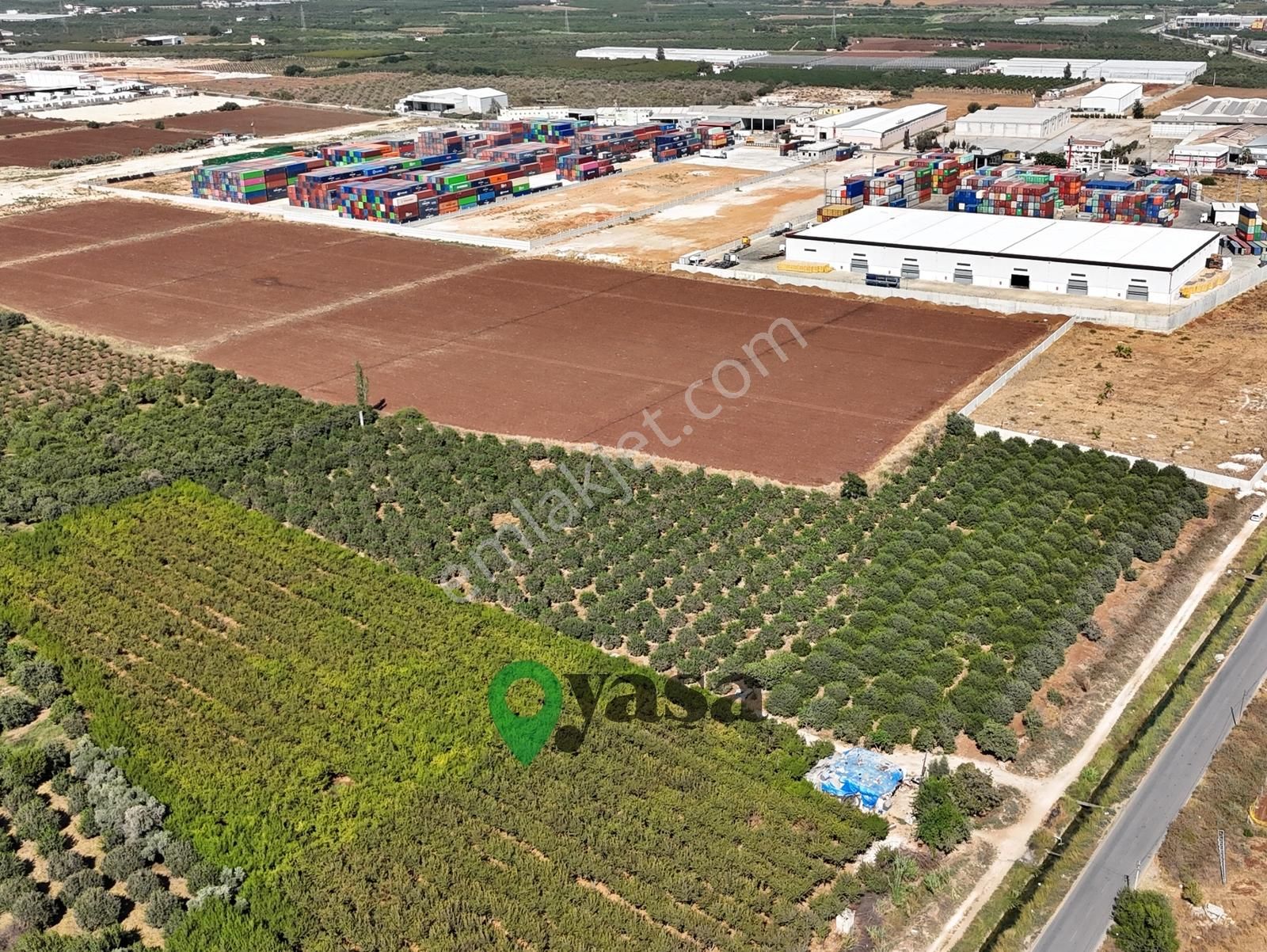 Yaşa Gyd İmar Sınırında Yatırım Fırsatı 16 Dönüm Narenciye Bahçe