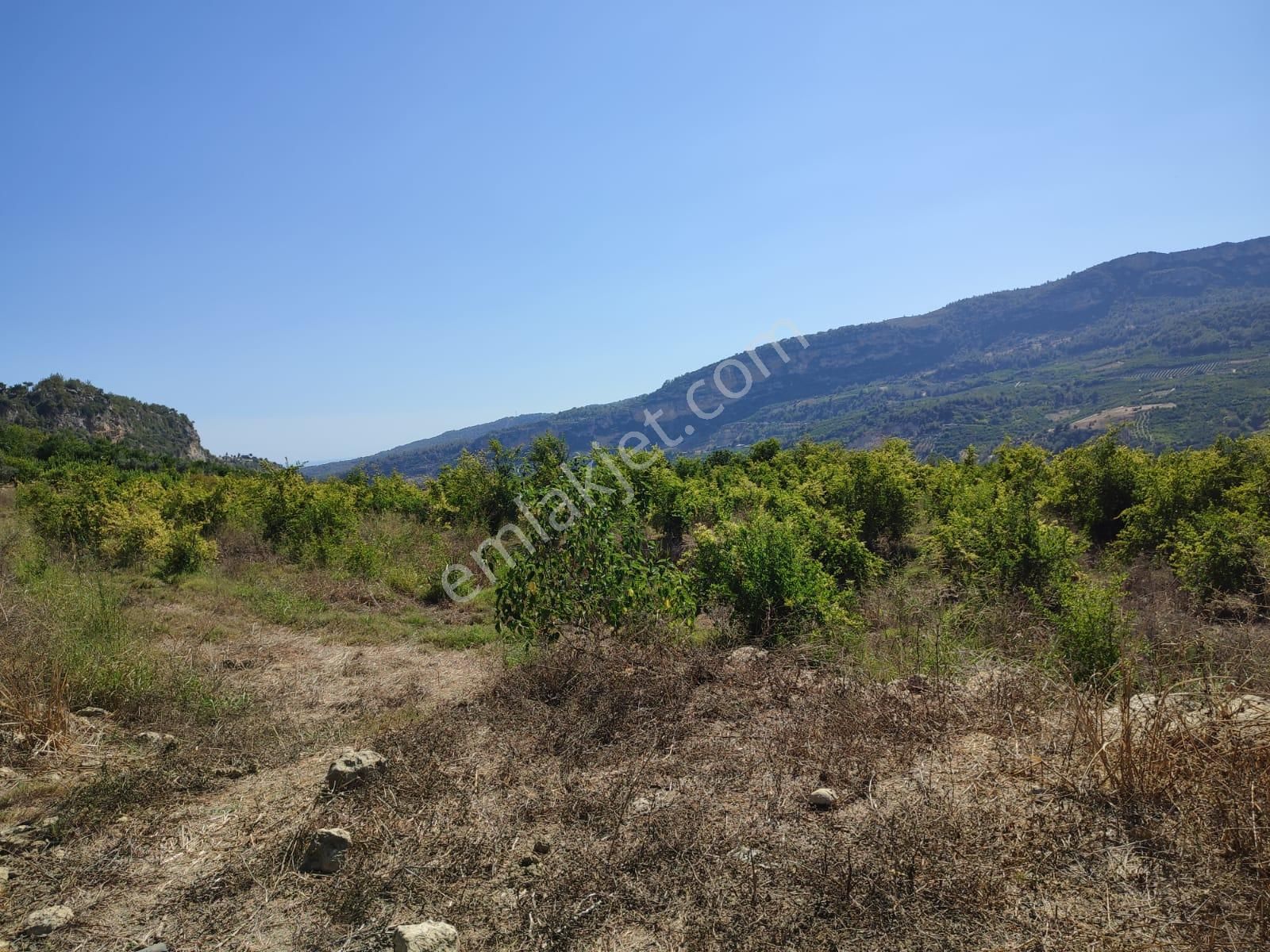 Merkeze 11 Km Mesafede Bulunan 5780 M2 Düz Alana Sahip Tarla - Görsel 6