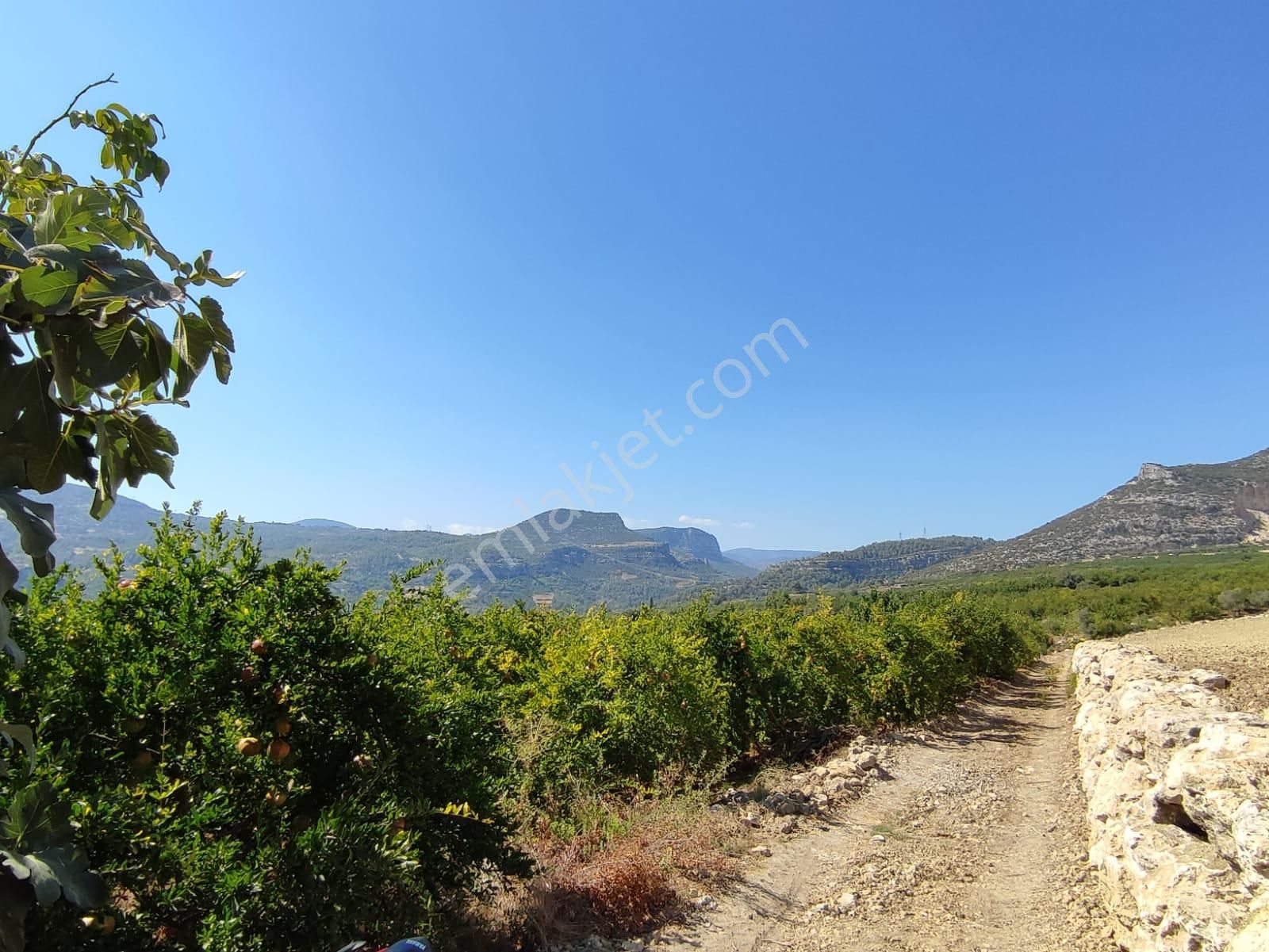 Merkeze 11 Km Mesafede Bulunan 5780 M2 Düz Alana Sahip Tarla