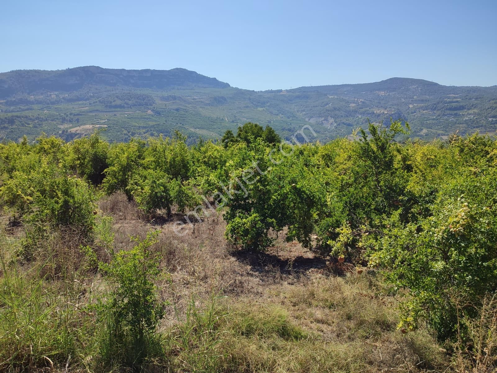 Merkeze 11 Km Mesafede Bulunan 5780 M2 Düz Alana Sahip Tarla - Görsel 4