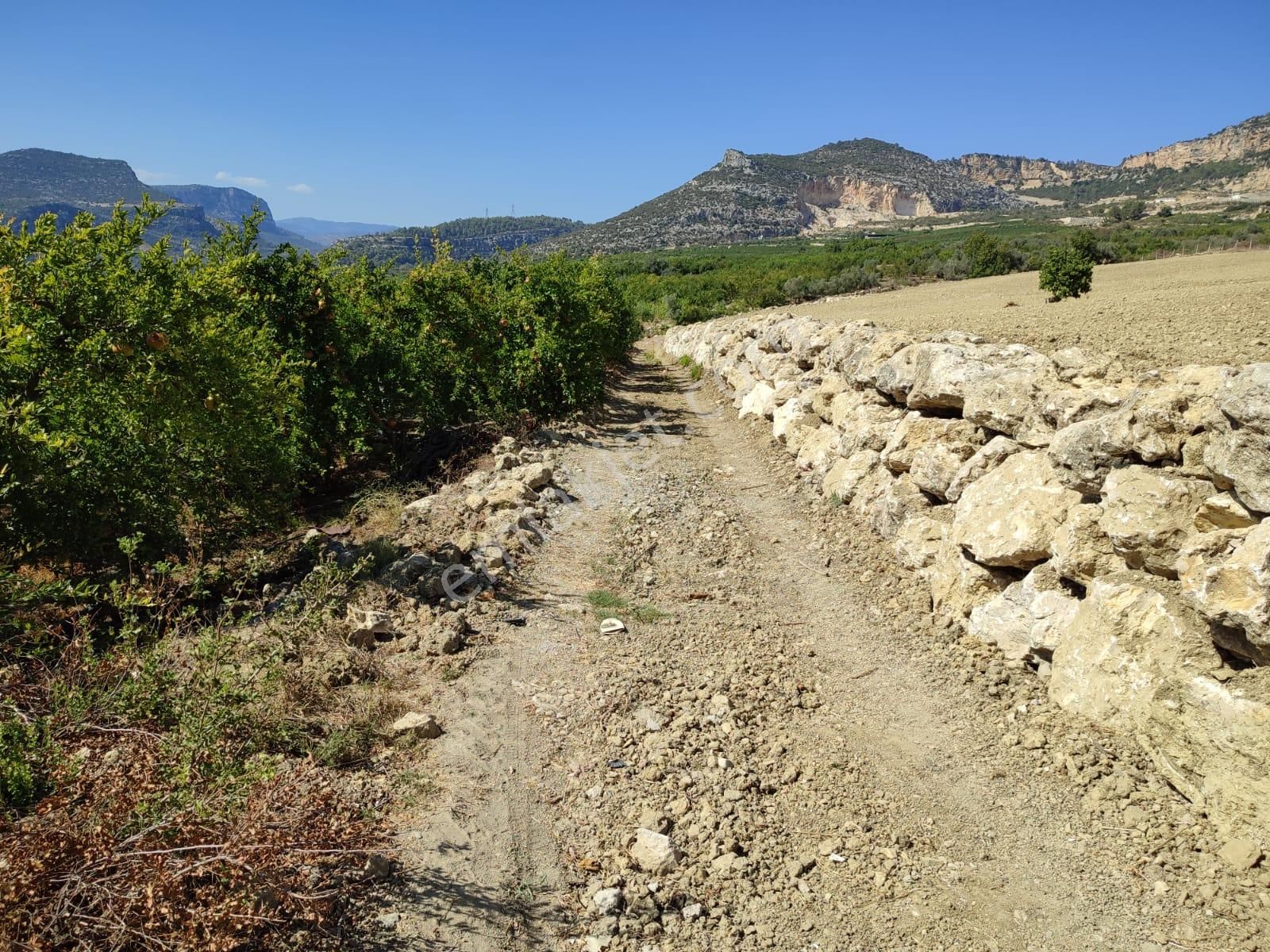 Merkeze 11 Km Mesafede Bulunan 5780 M2 Düz Alana Sahip Tarla - Görsel 11
