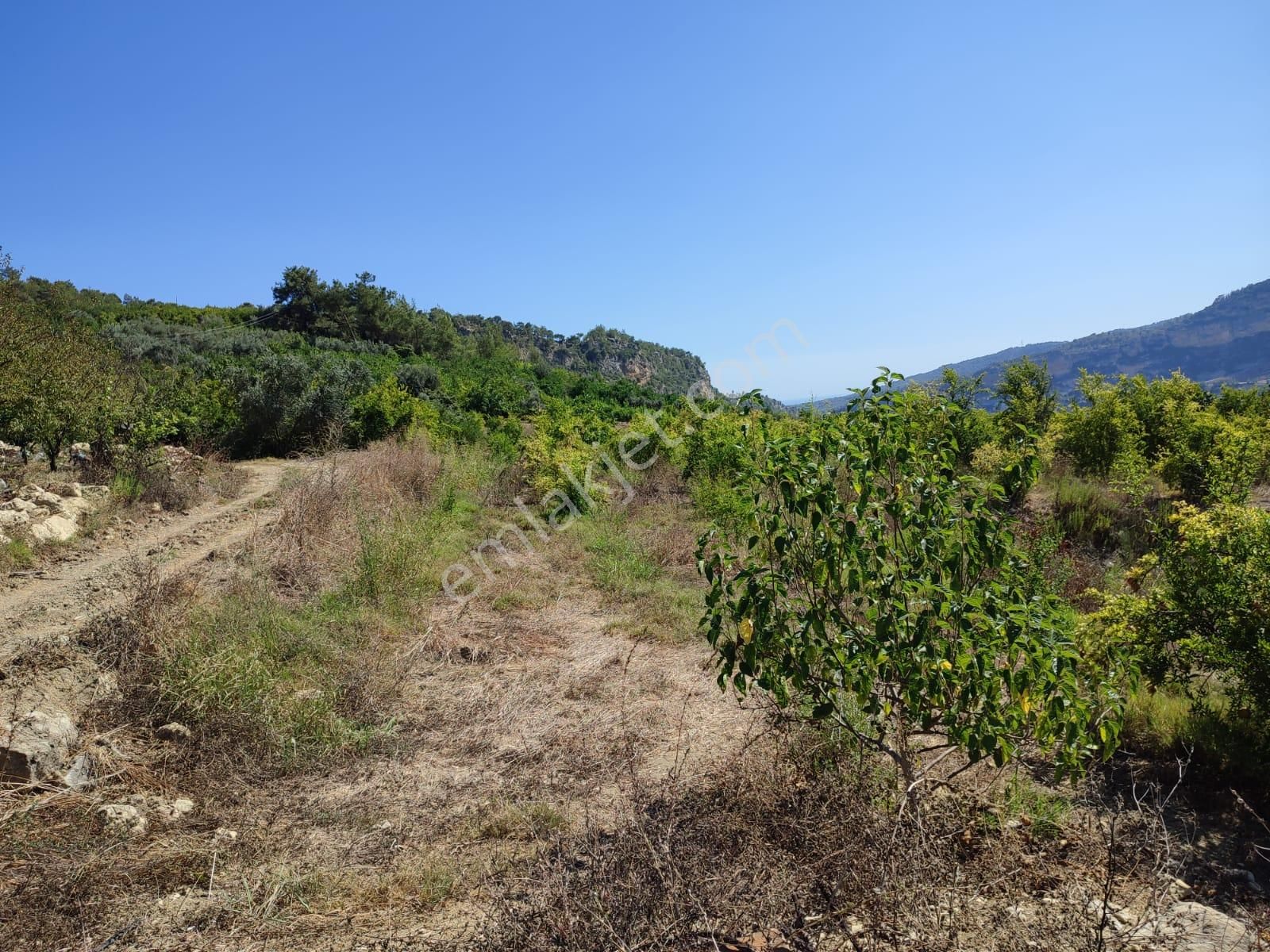 Merkeze 11 Km Mesafede Bulunan 5780 M2 Düz Alana Sahip Tarla - Görsel 5