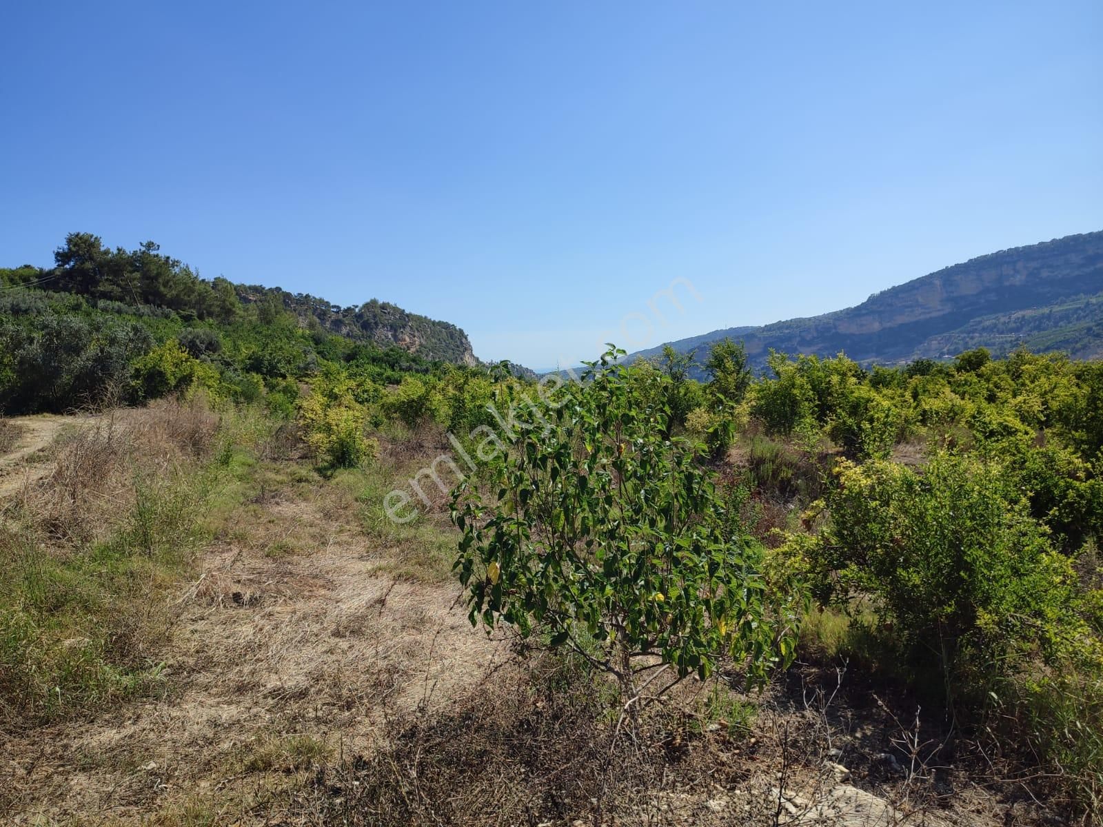 Merkeze 11 Km Mesafede Bulunan 5780 M2 Düz Alana Sahip Tarla - Görsel 2