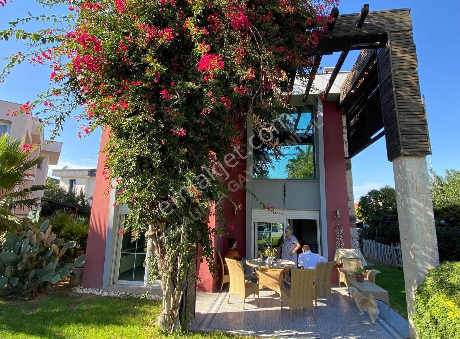 Alaçatı Göbene'de Havuzlu Yıllık Kiralık Villa - Görsel 8