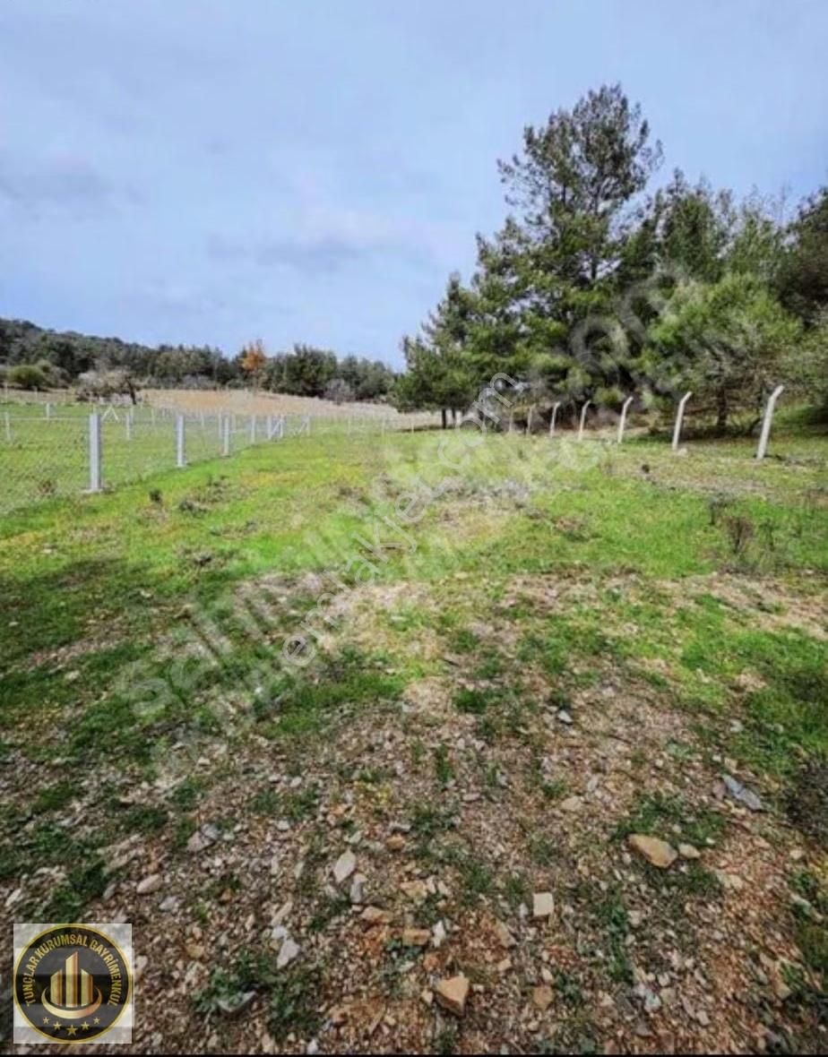 Muğla Menteşe Ortaköyde Rızai Taksimi Yapılmış1040 M² Yatırımlık - Görsel 10