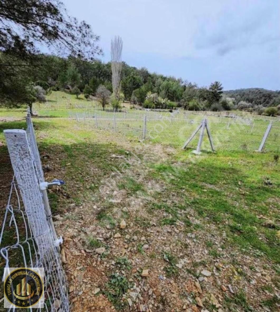 Muğla Menteşe Ortaköyde Rızai Taksimi Yapılmış1040 M² Yatırımlık - Görsel 17