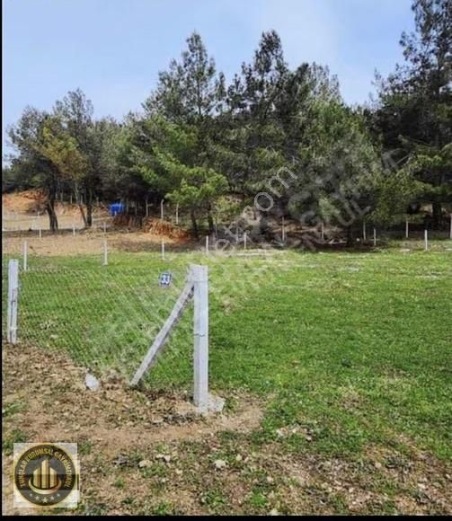 Muğla Menteşe Ortaköyde Rızai Taksimi Yapılmış1040 M² Yatırımlık - Görsel 4