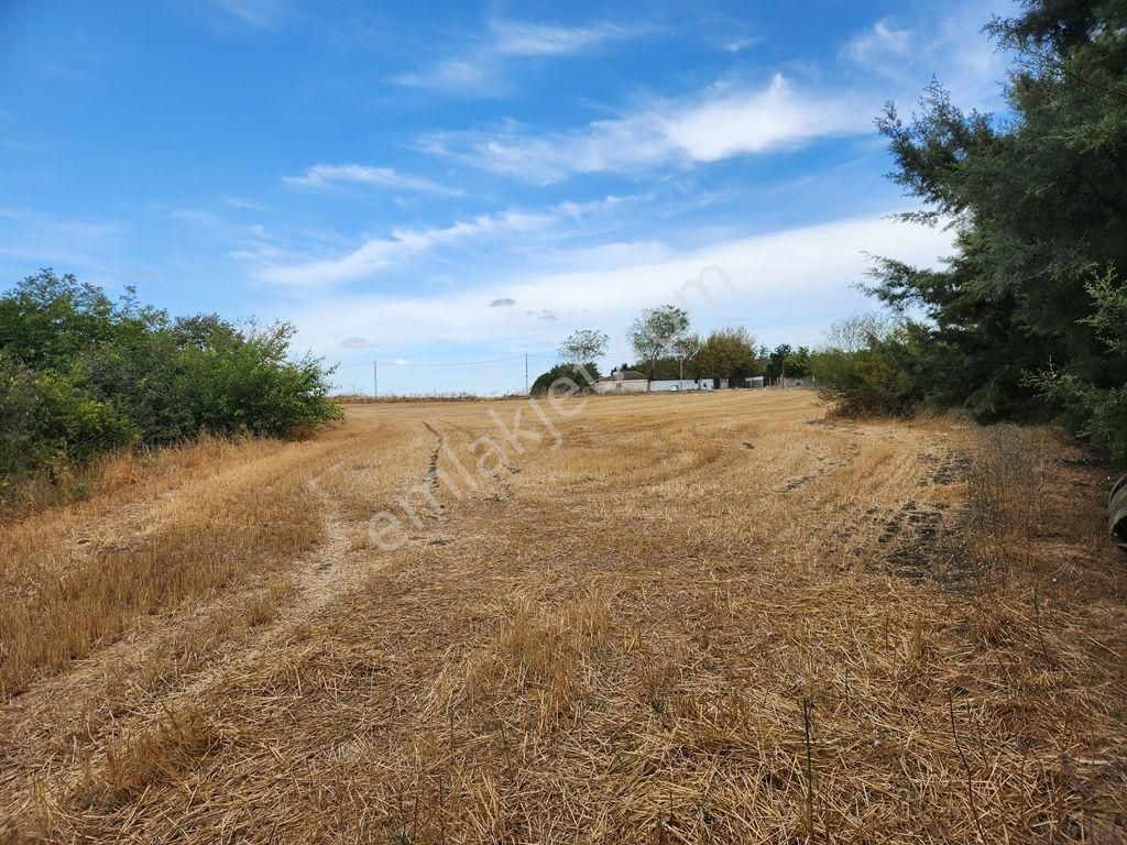 İstanbul Çatalca Ovayenice'de Satılık Arsa