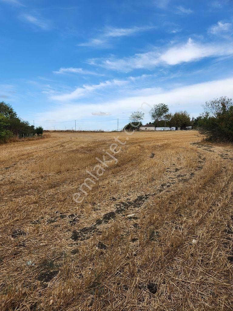İstanbul Çatalca Ovayenice'de Satılık Arsa - Görsel 7