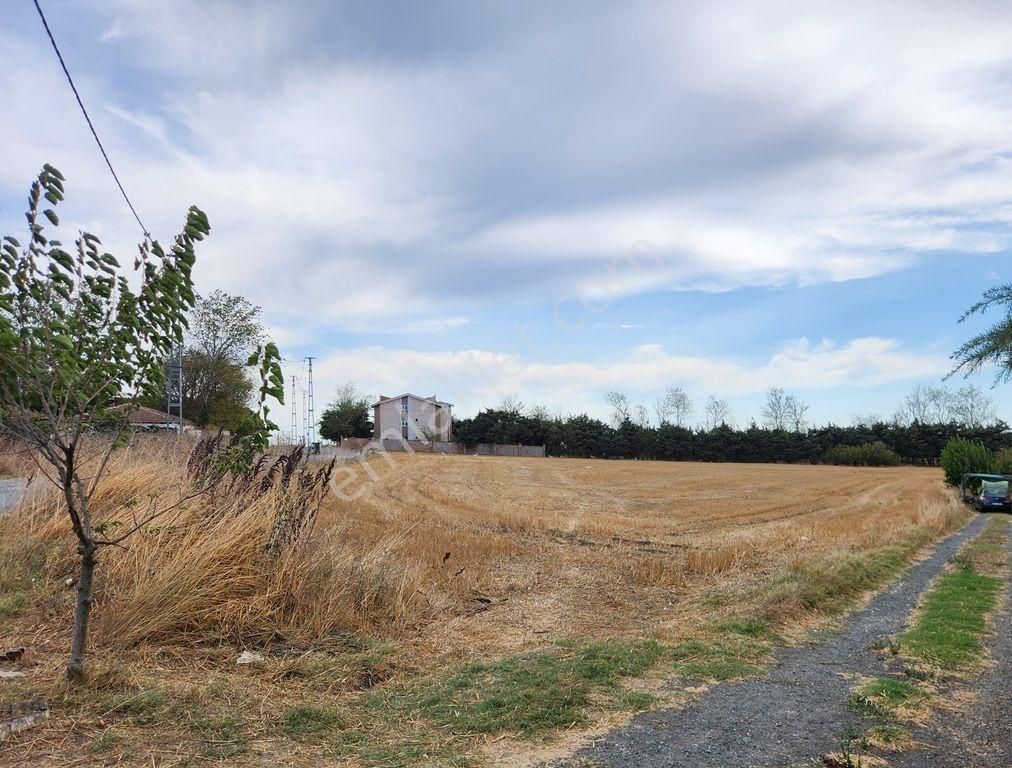 İstanbul Çatalca Ovayenice'de Satılık Arsa - Görsel 6