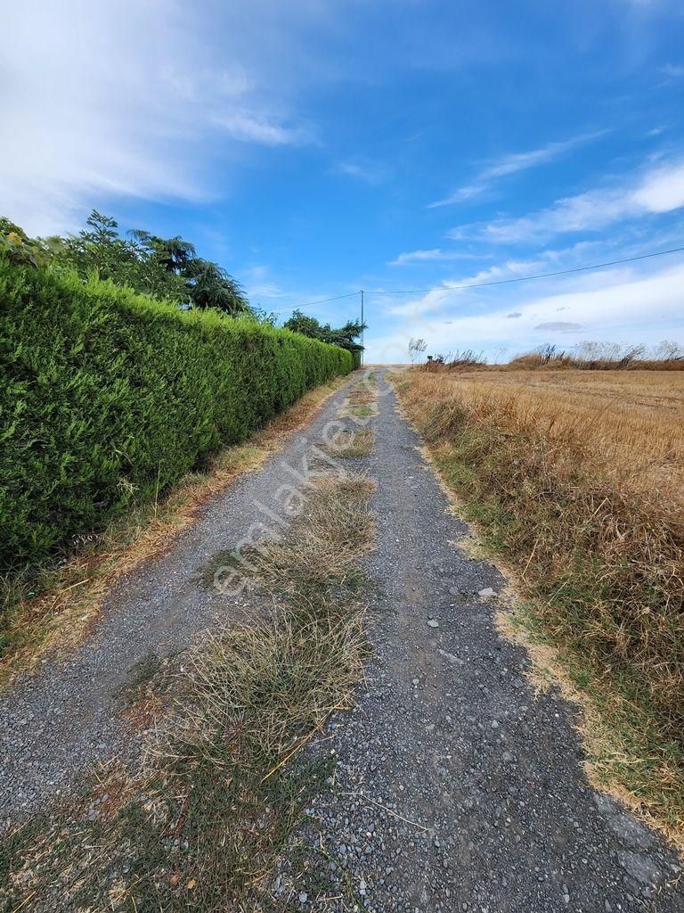 İstanbul Çatalca Ovayenice'de Satılık Arsa - Görsel 10