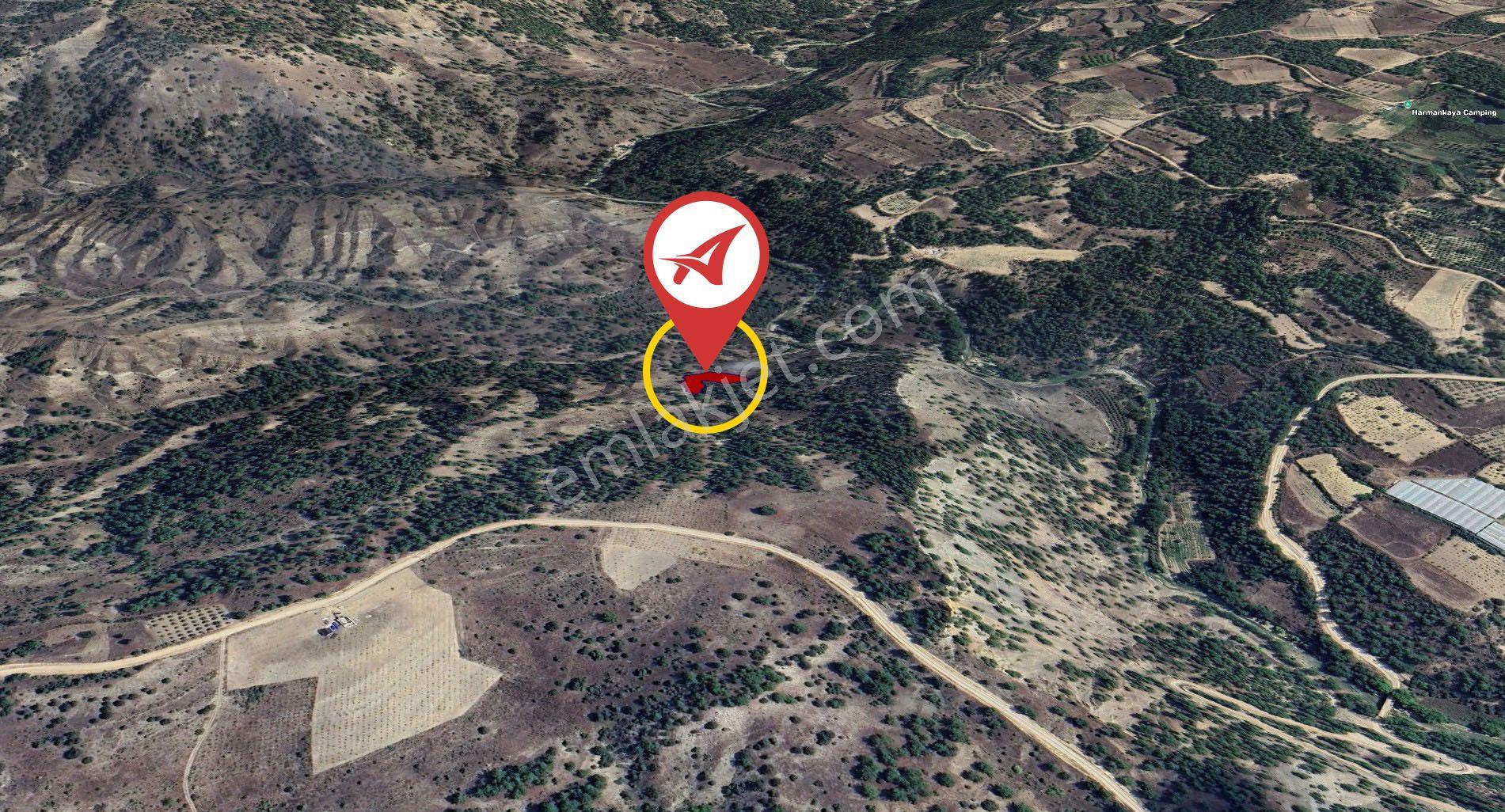 Bilecik İnhisar Harmanköy Satılık 2000m2 Bahçe - Görsel 14