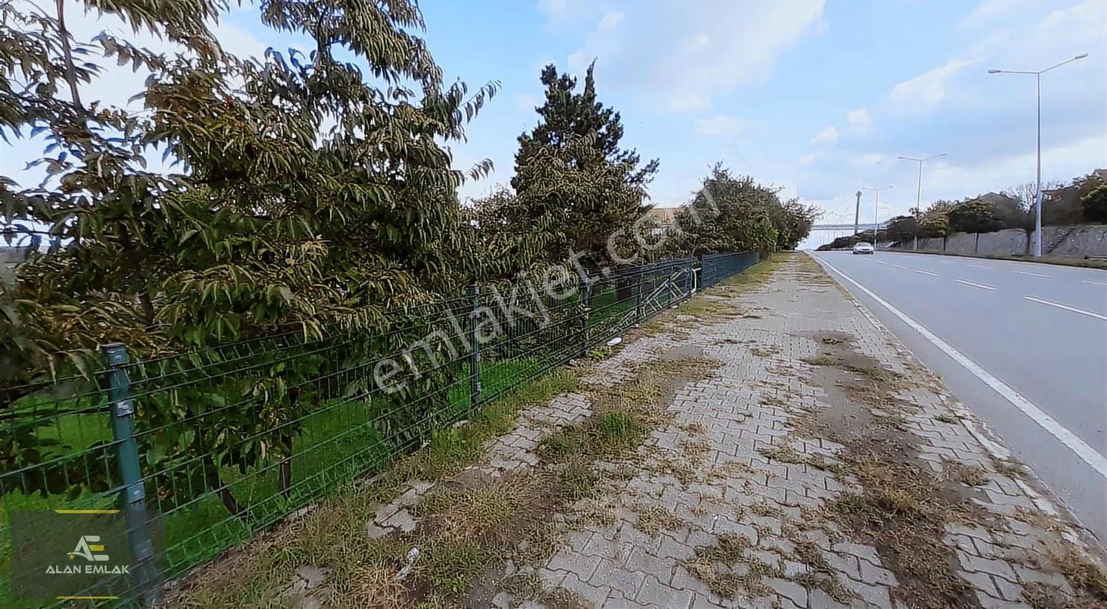 Alan Emlak;19 Mayıs Samsun-sinop Yol.45 Metre Cephe Satılık Arsa - Görsel 2