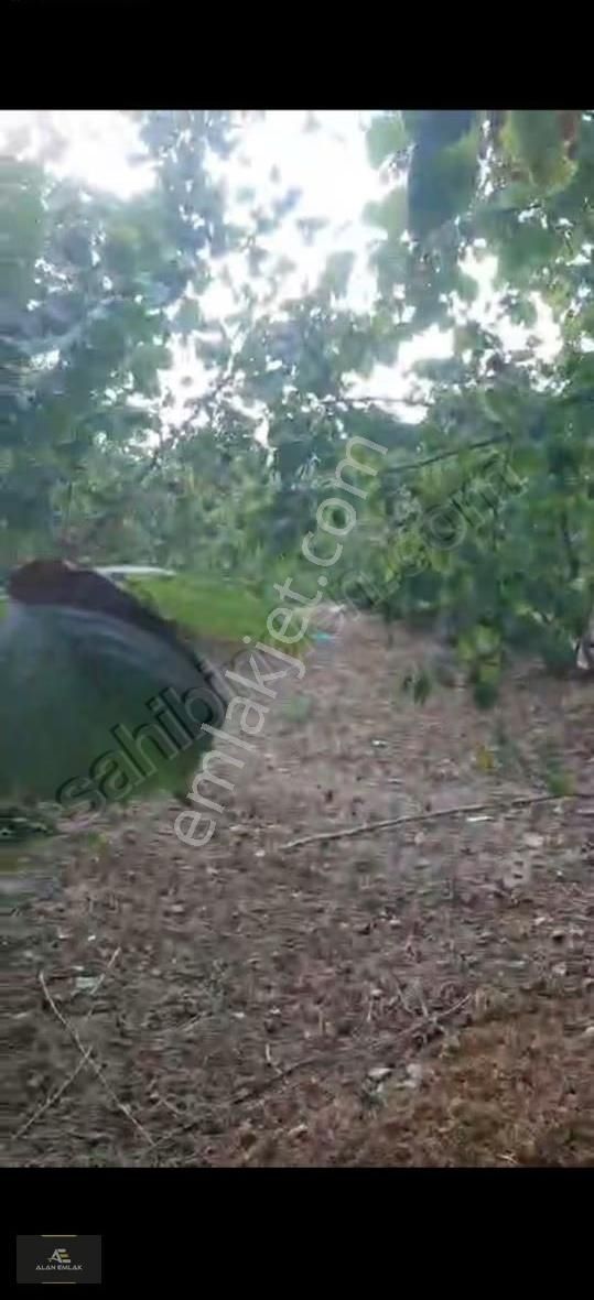 Alan Emlaktan Çarsamba Sefalida Tam Yatırımlık Bir Arsa Kaçmaz - Görsel 9