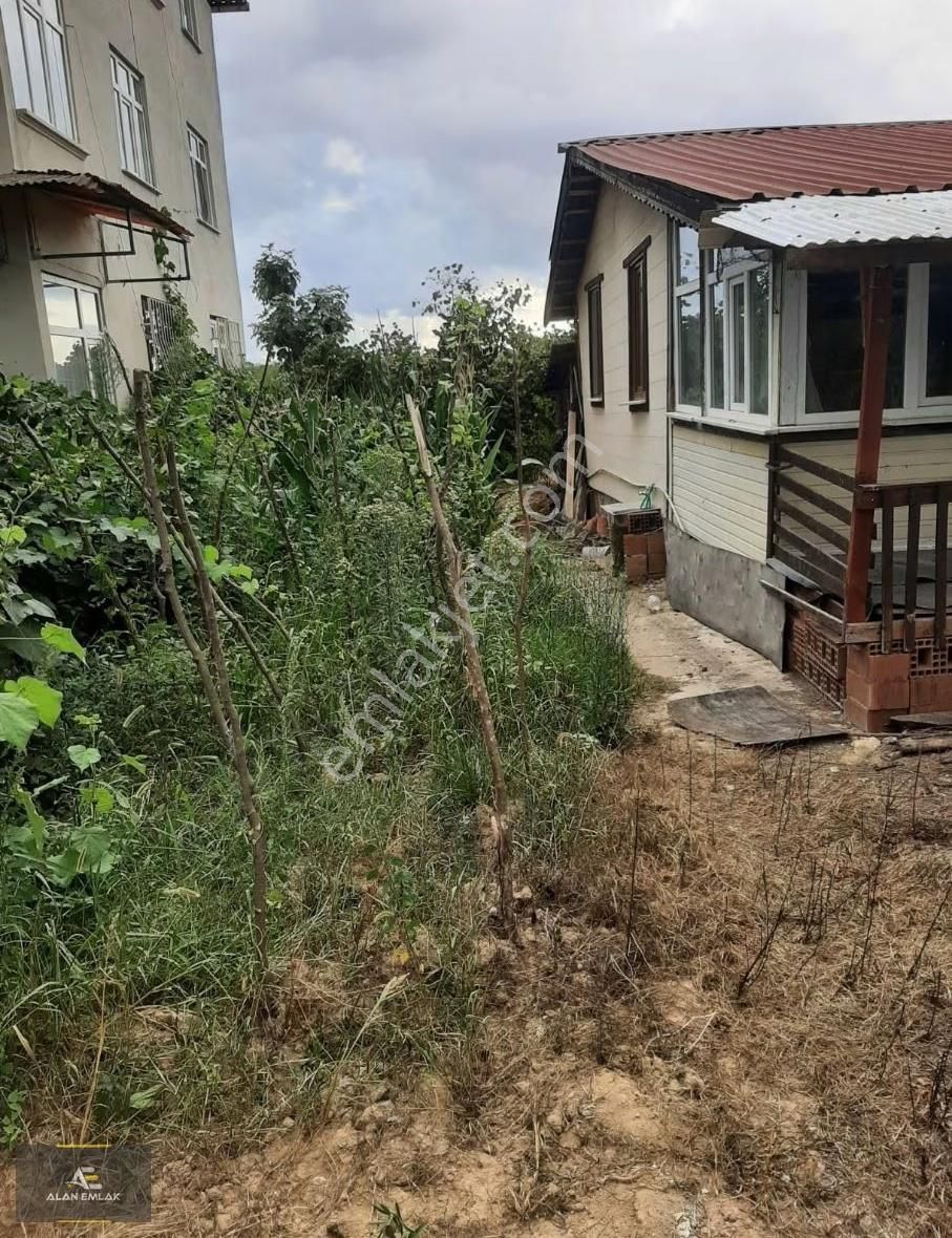 Alan Emlaktan Çarsamba Sefalida Tam Yatırımlık Bir Arsa Kaçmaz - Görsel 3