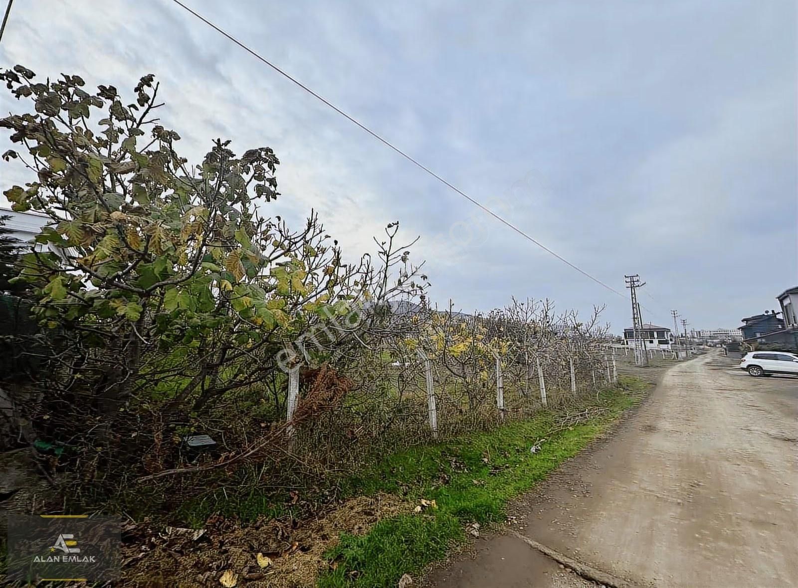 Samsuna Atakum Pelitköy Köşebaşı Satılık Arsa - Görsel 20