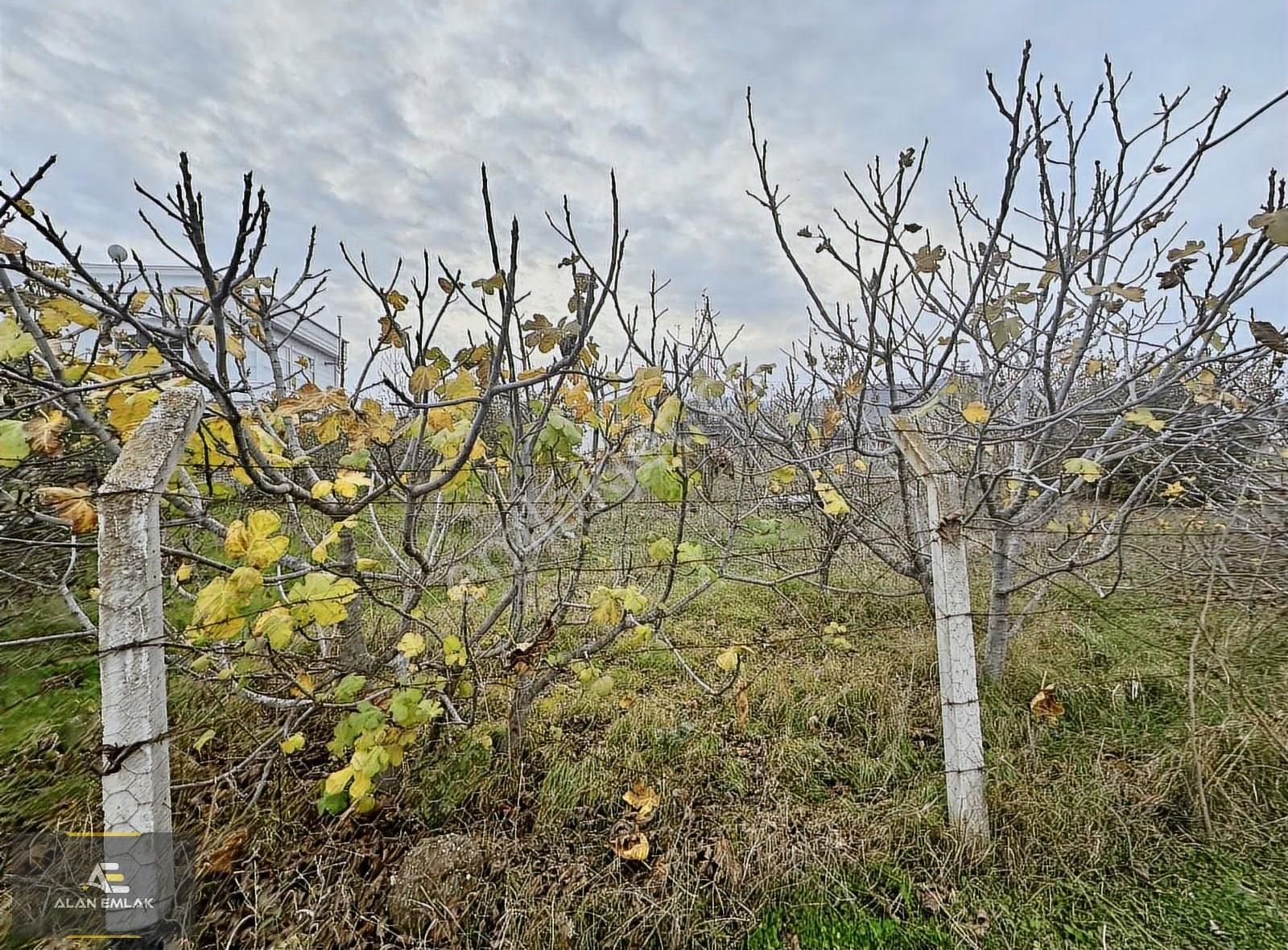 Samsuna Atakum Pelitköy Köşebaşı Satılık Arsa - Görsel 8
