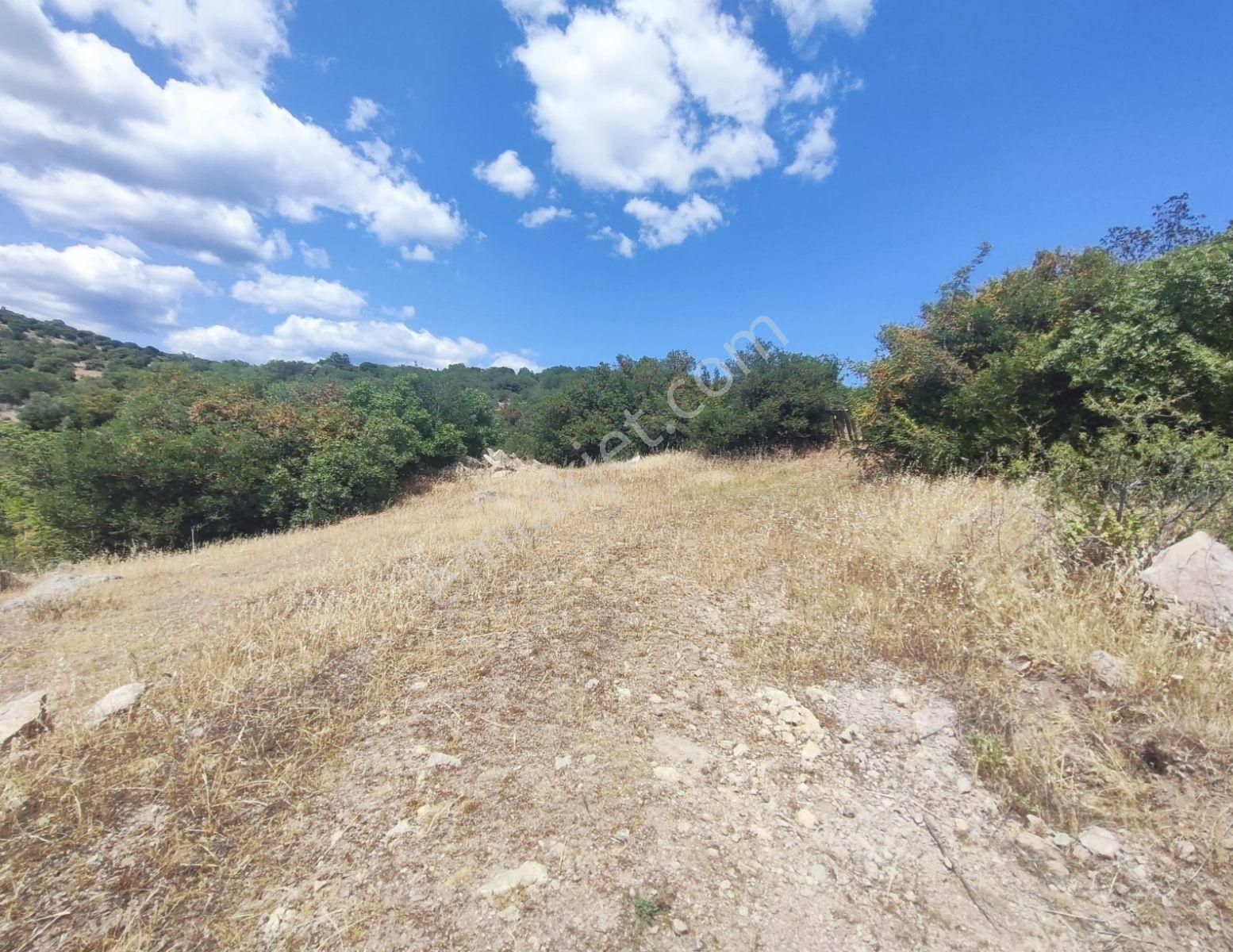 İzmir Bergama'da 18.165 M2 Tek Tapulu Arazi - Görsel 12