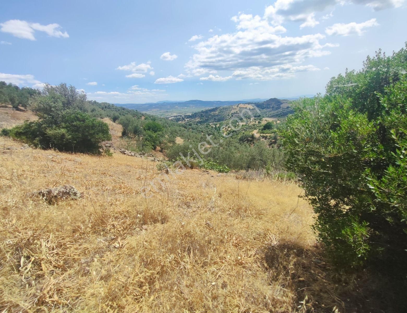 İzmir Bergama'da 18.165 M2 Tek Tapulu Arazi - Görsel 10