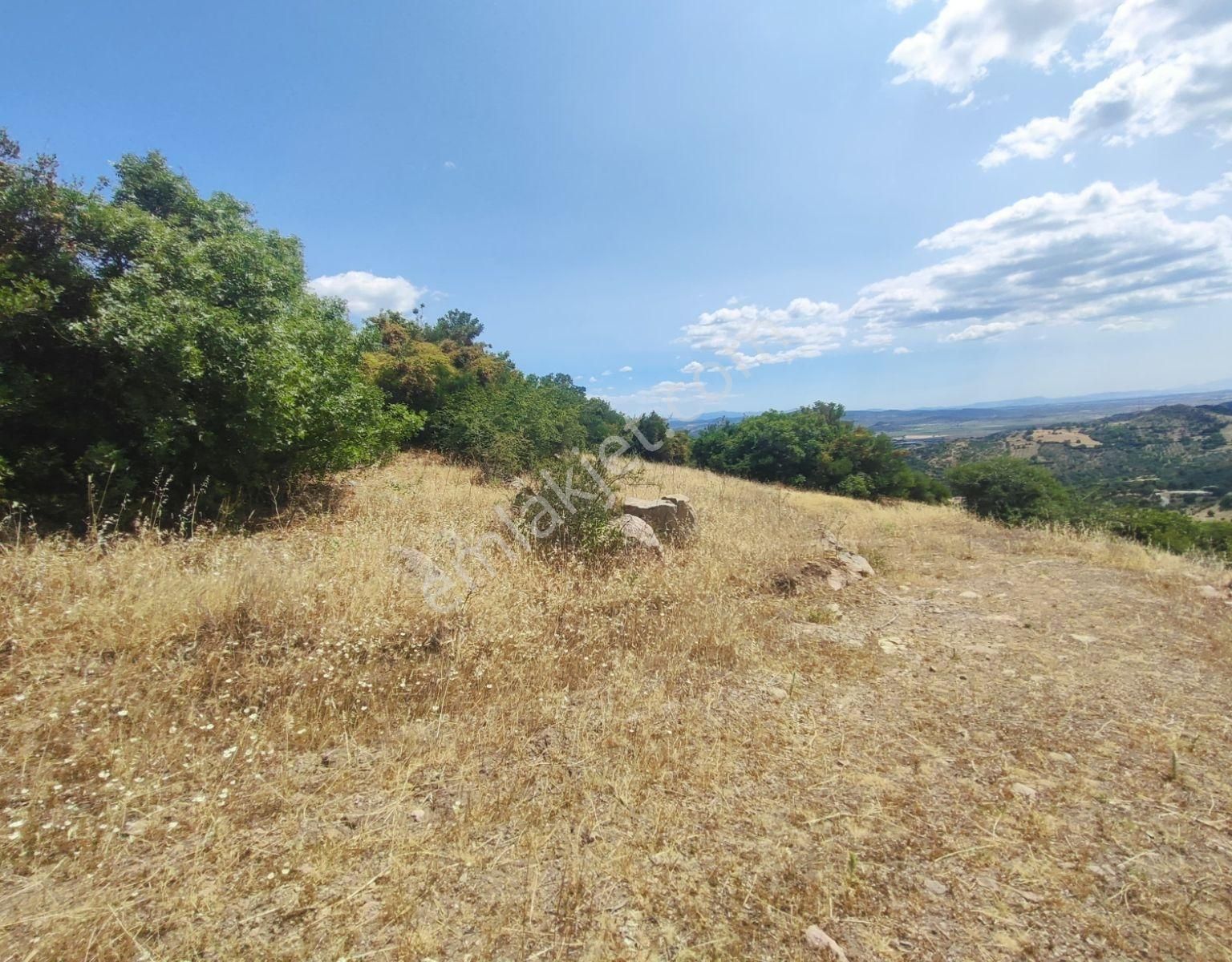 İzmir Bergama'da 18.165 M2 Tek Tapulu Arazi - Görsel 4