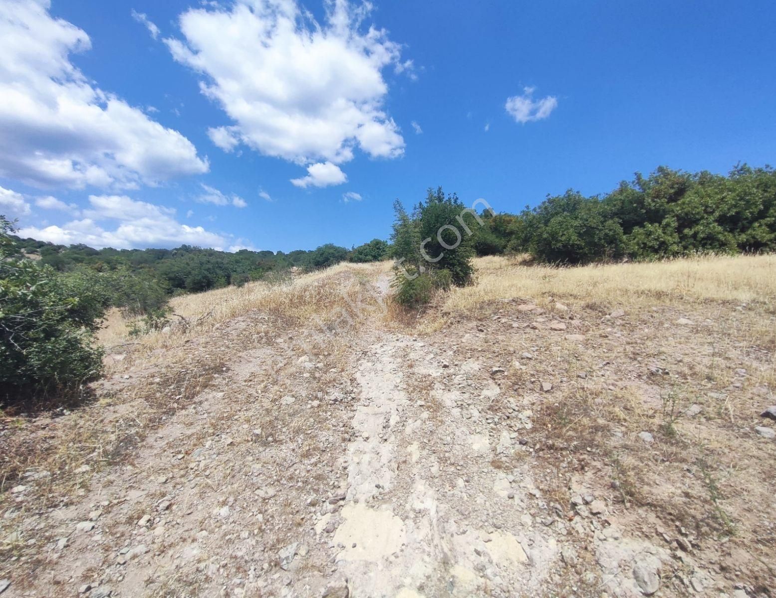 İzmir Bergama'da 18.165 M2 Tek Tapulu Arazi - Görsel 14
