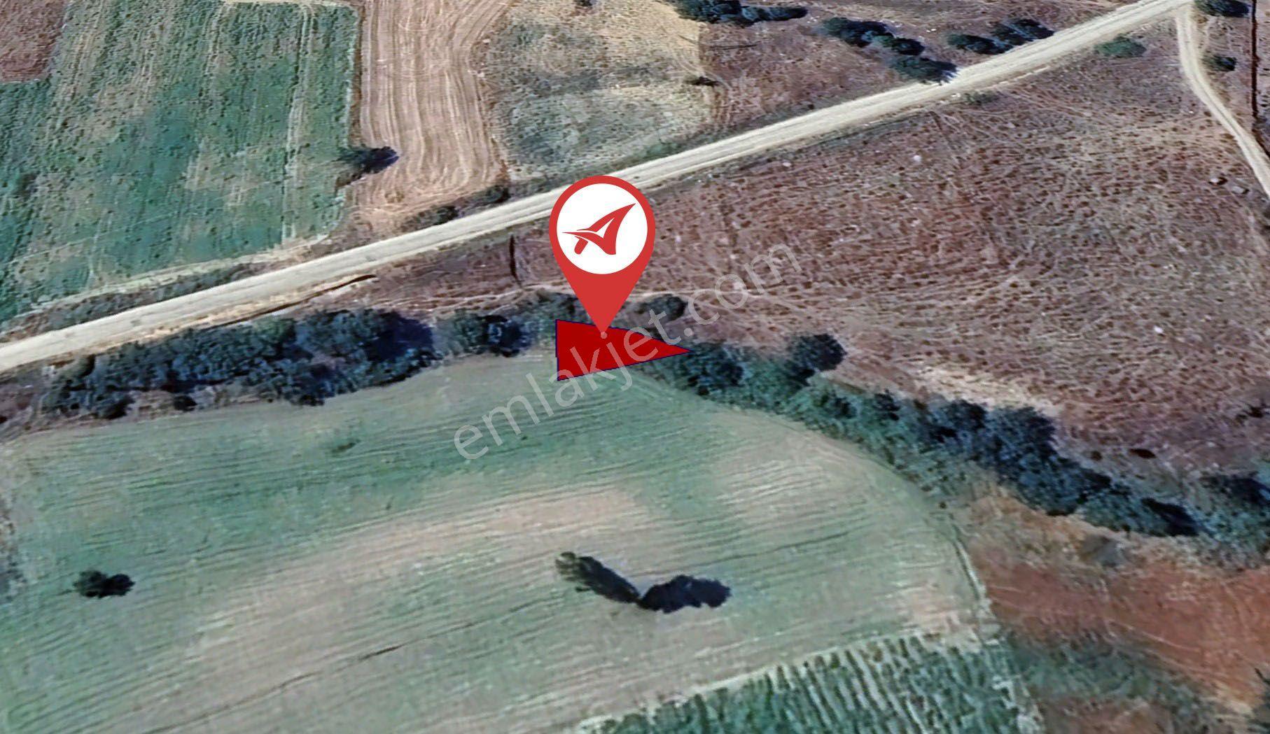 Bilecik Merkez Selbükü Satılık 143m2 Tarla - Görsel 5