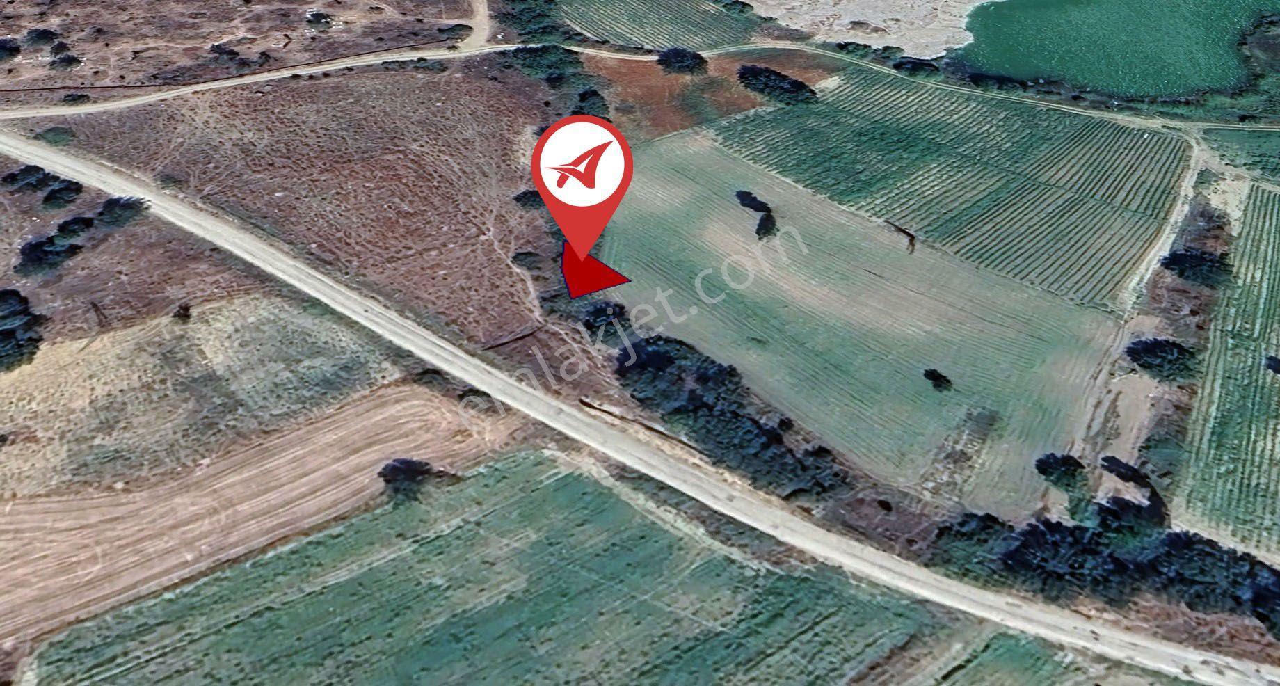 Bilecik Merkez Selbükü Satılık 143m2 Tarla - Görsel 3