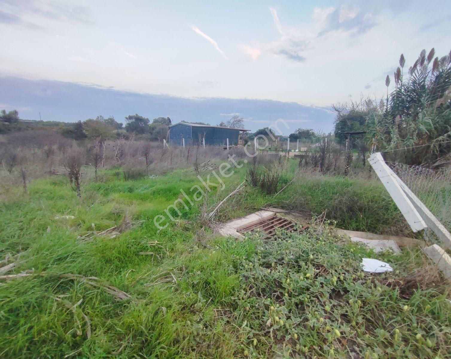 Akçaköyde 355 Metrekare Yatırımlık Arazi - Görsel 7