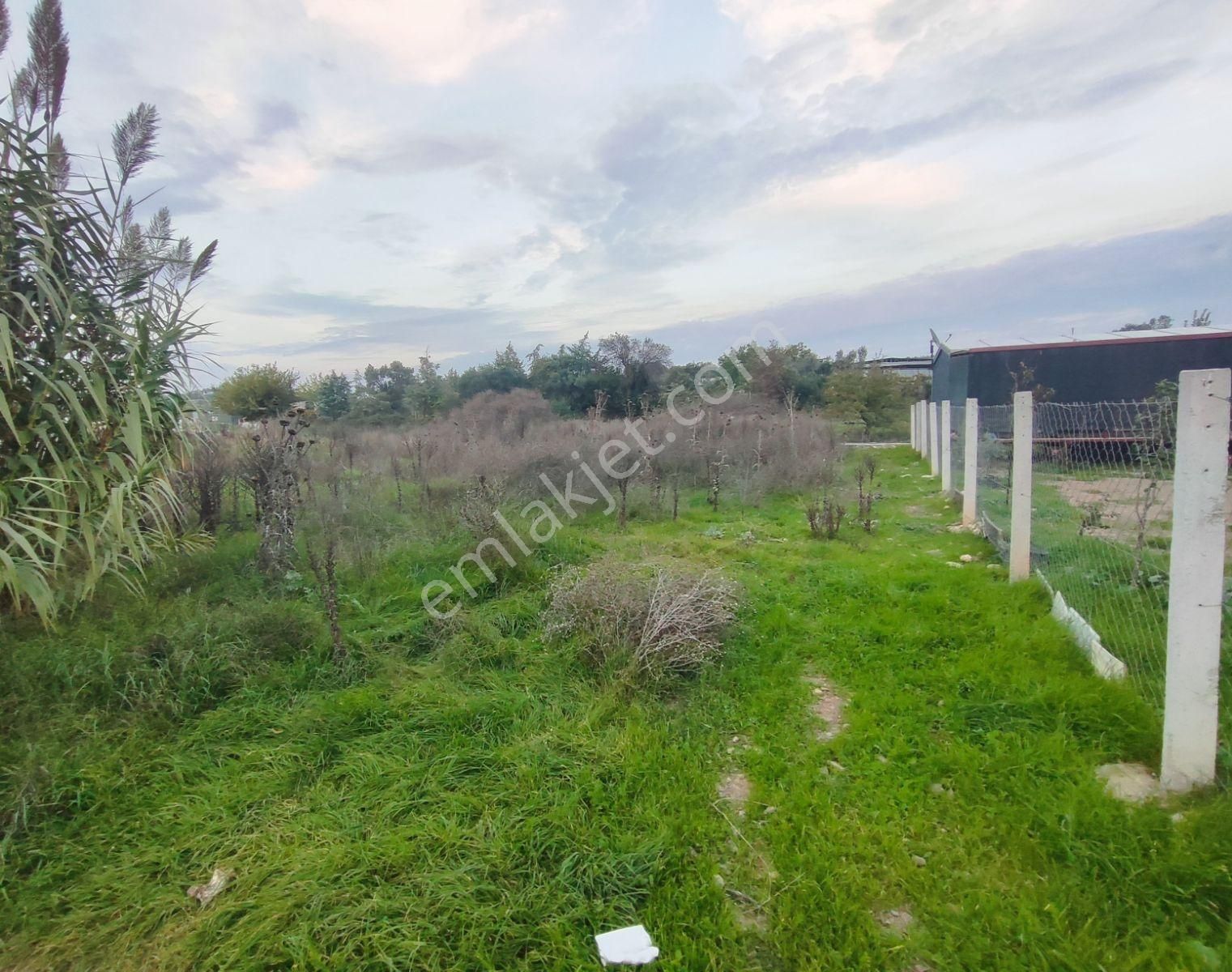 Akçaköyde 355 Metrekare Yatırımlık Arazi - Görsel 5