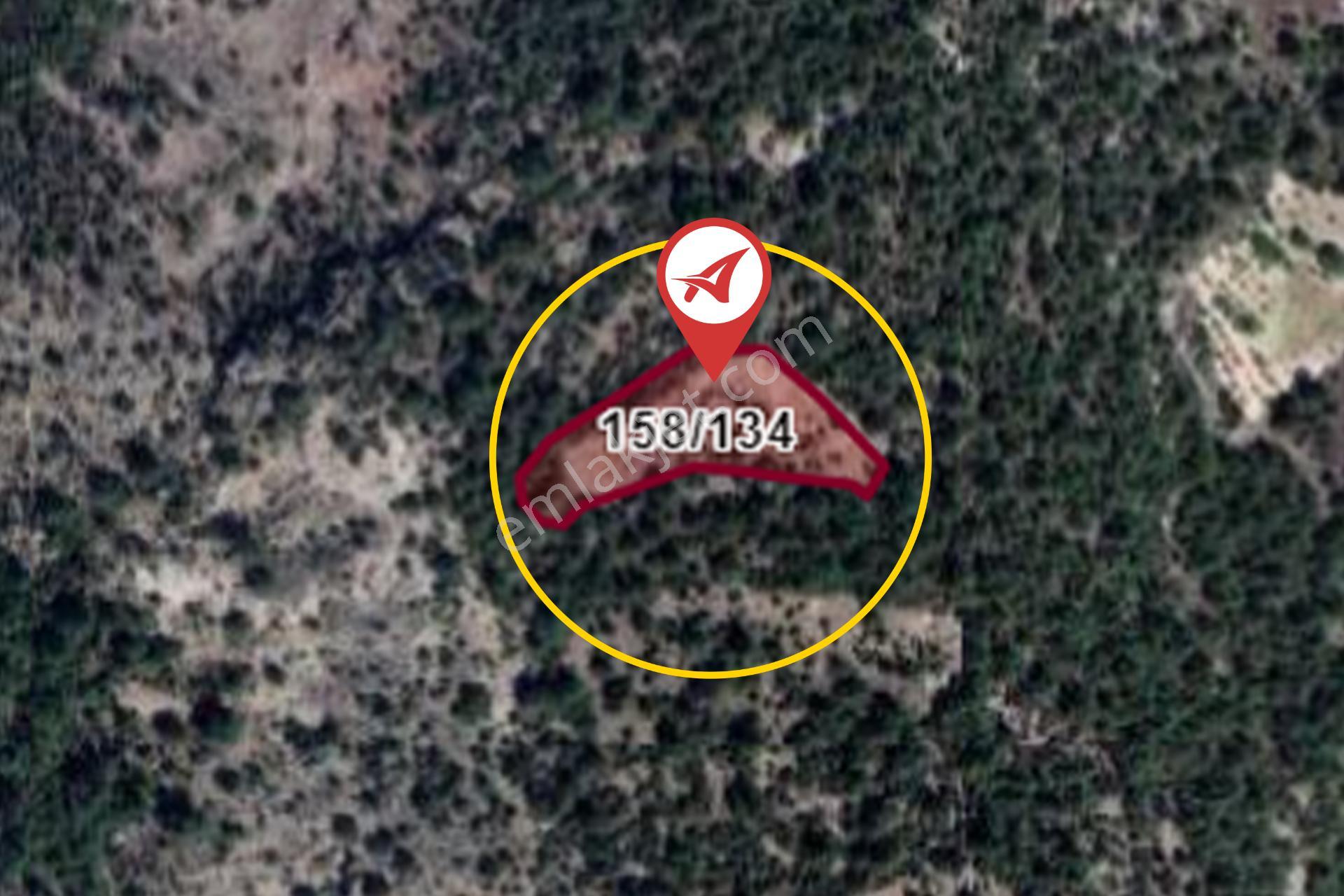 Bilecik-inhisar-harmanköy-satılık 2131m2 Tarla - Görsel 21