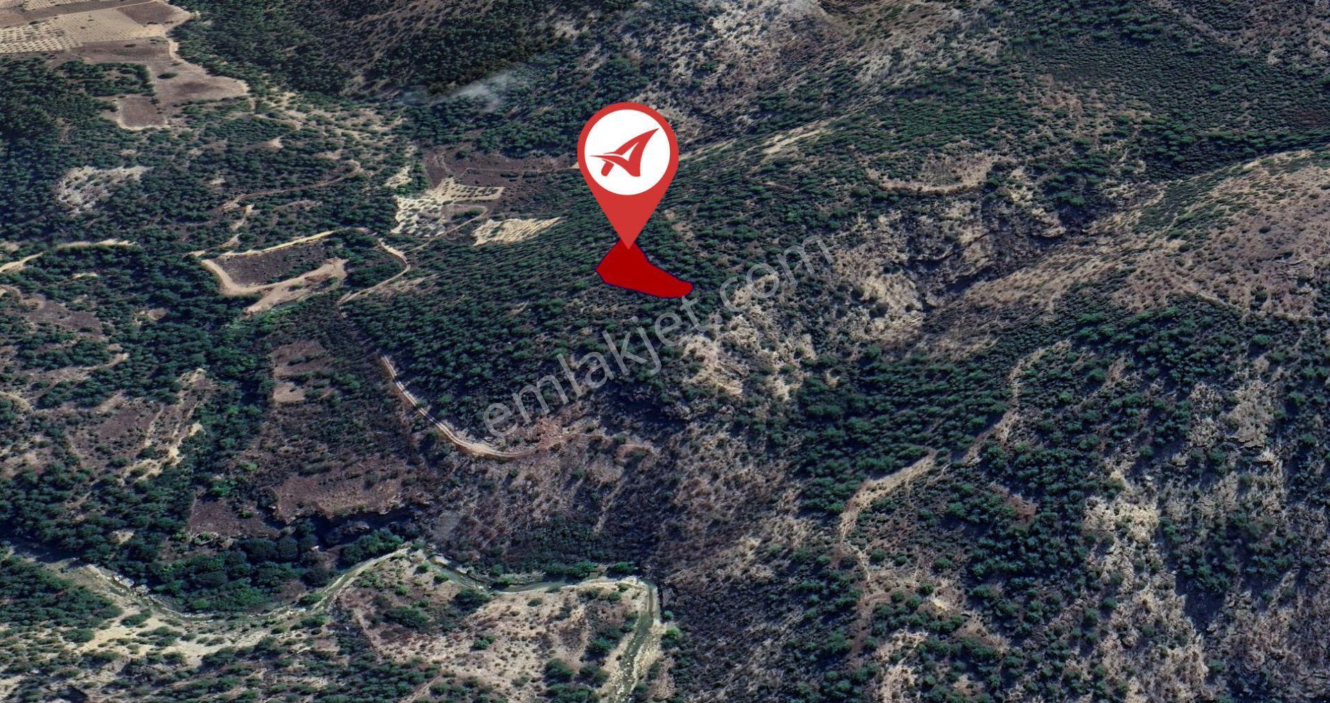 Bilecik-inhisar-harmanköy-satılık 2131m2 Tarla - Görsel 16