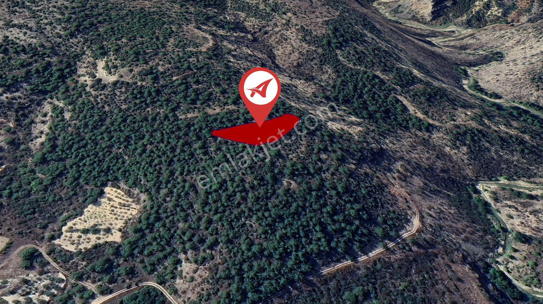 Bilecik-inhisar-harmanköy-satılık 2131m2 Tarla - Görsel 14