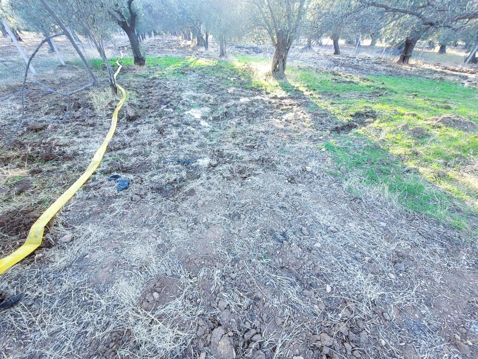 Akman'dan Havran Büyükdere'de Tel Örgü İle Çevrili Zeytinlik - Görsel 32