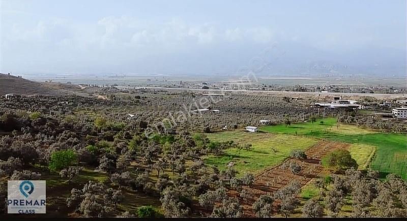 Şahnalı Köyünde Satılık Zeytinlik - Görsel 6