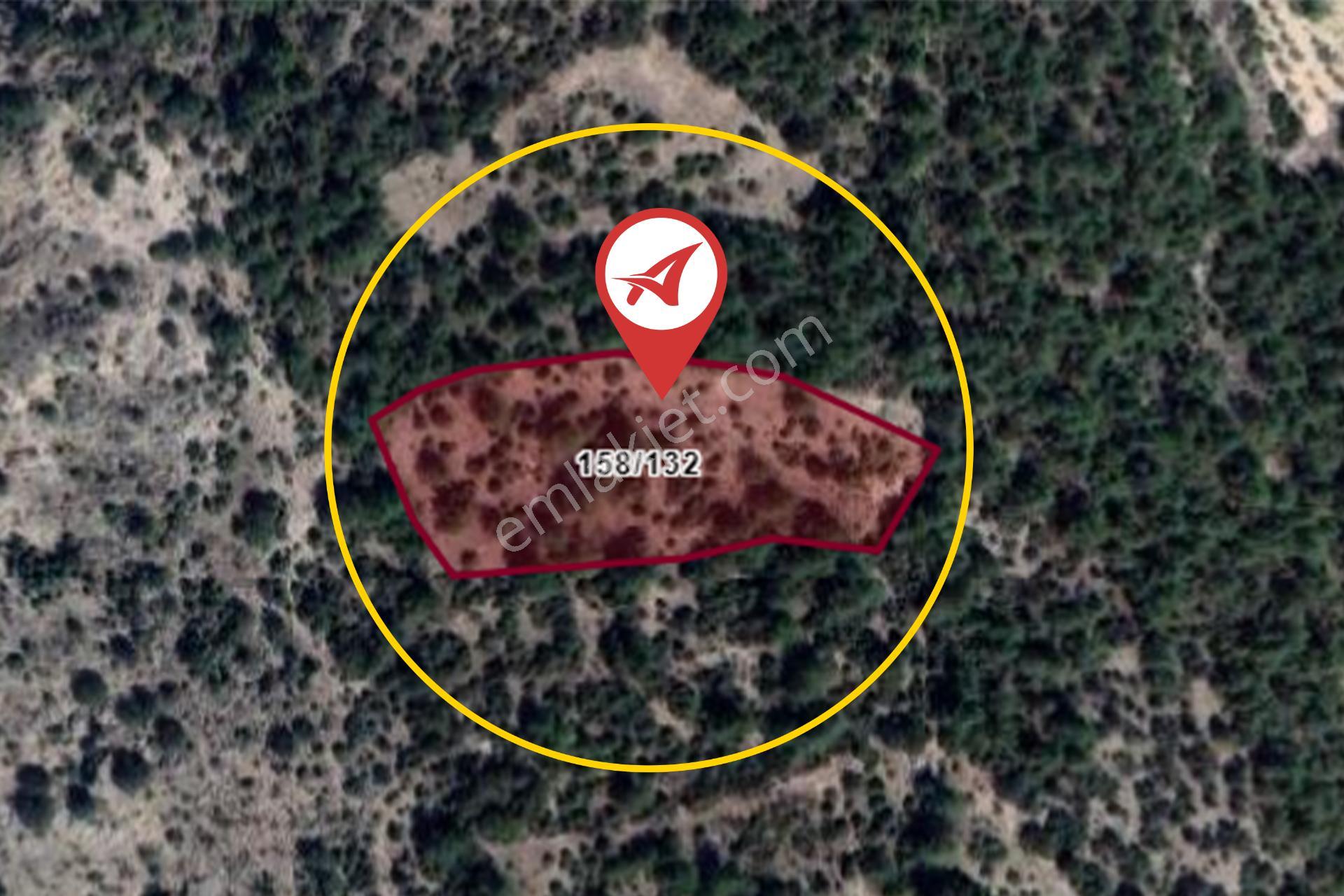 Bilecik-inhisar-harmanköy-satılık 3115m2 Tarla - Görsel 15