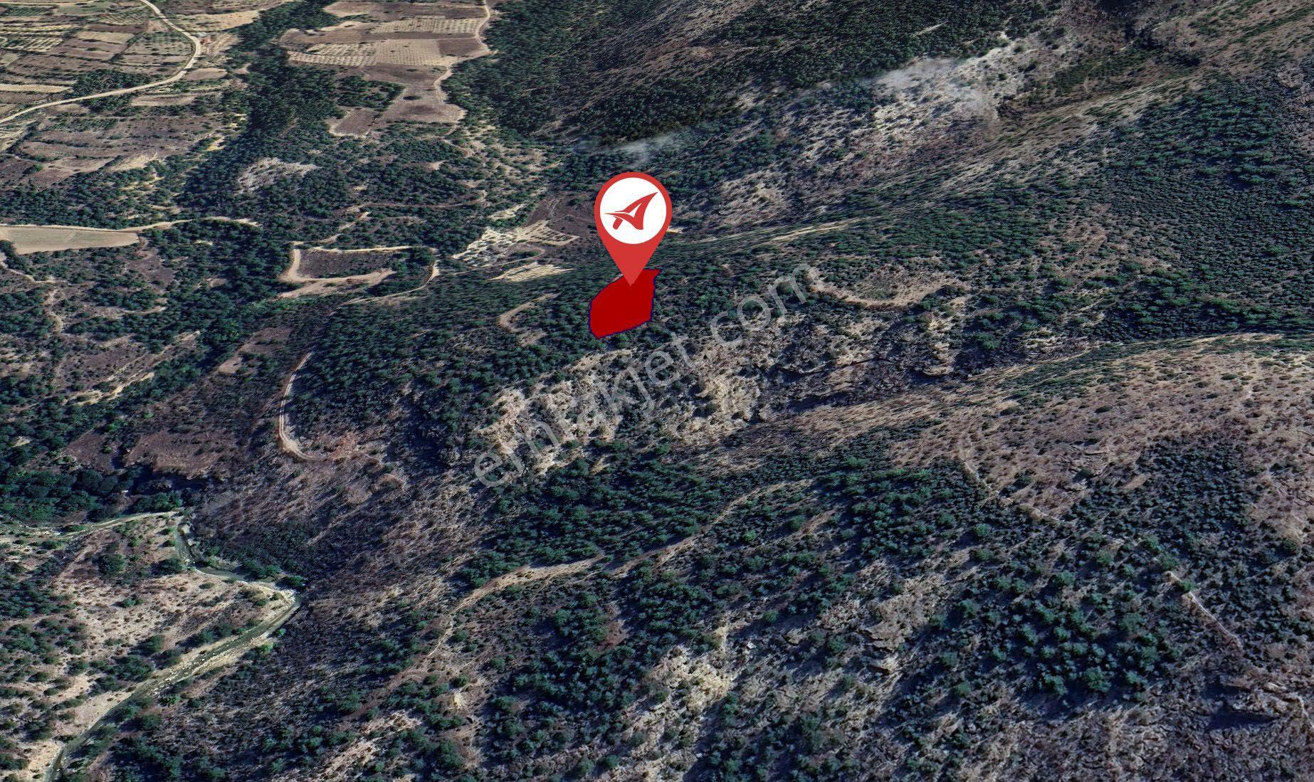Bilecik-inhisar-harmanköy-satılık 3115m2 Tarla - Görsel 5