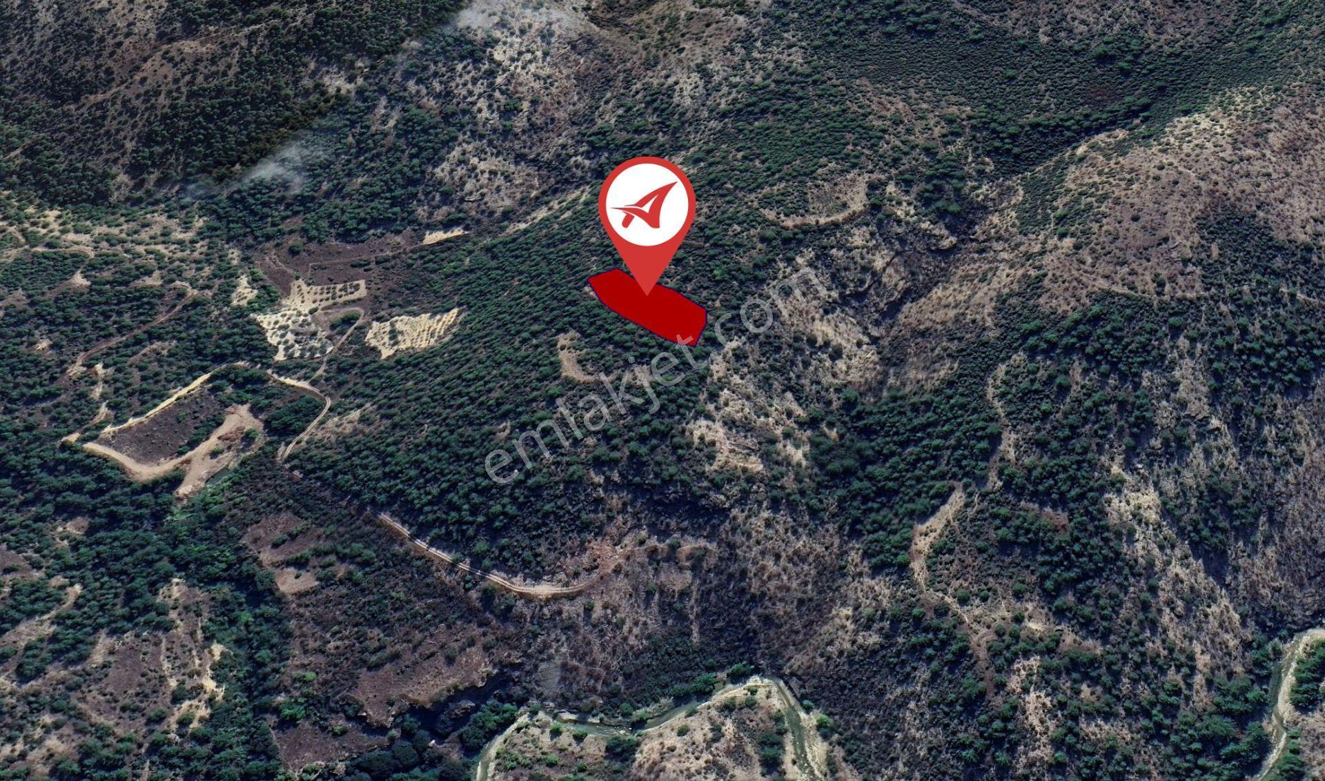 Bilecik-inhisar-harmanköy-satılık 3115m2 Tarla